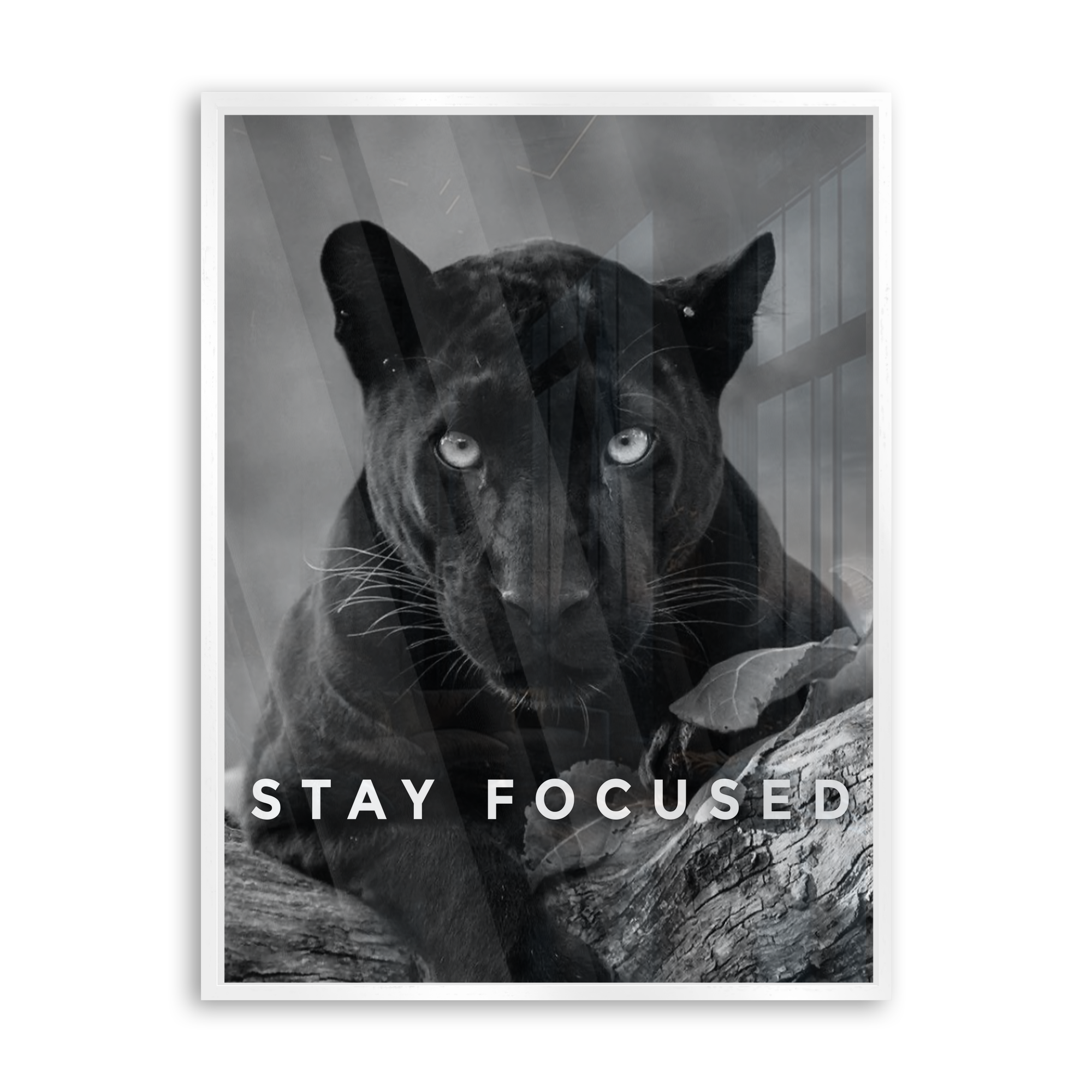 Stay Focused