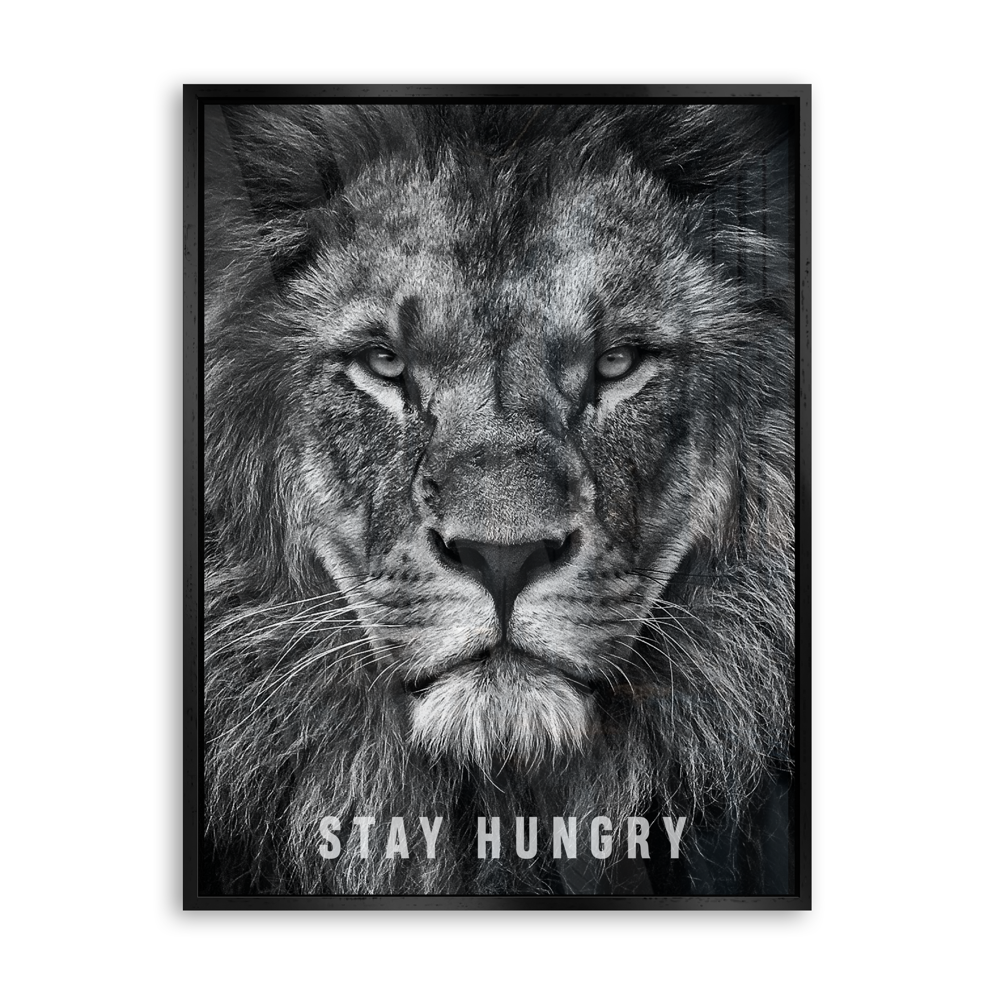 Stay Hungry