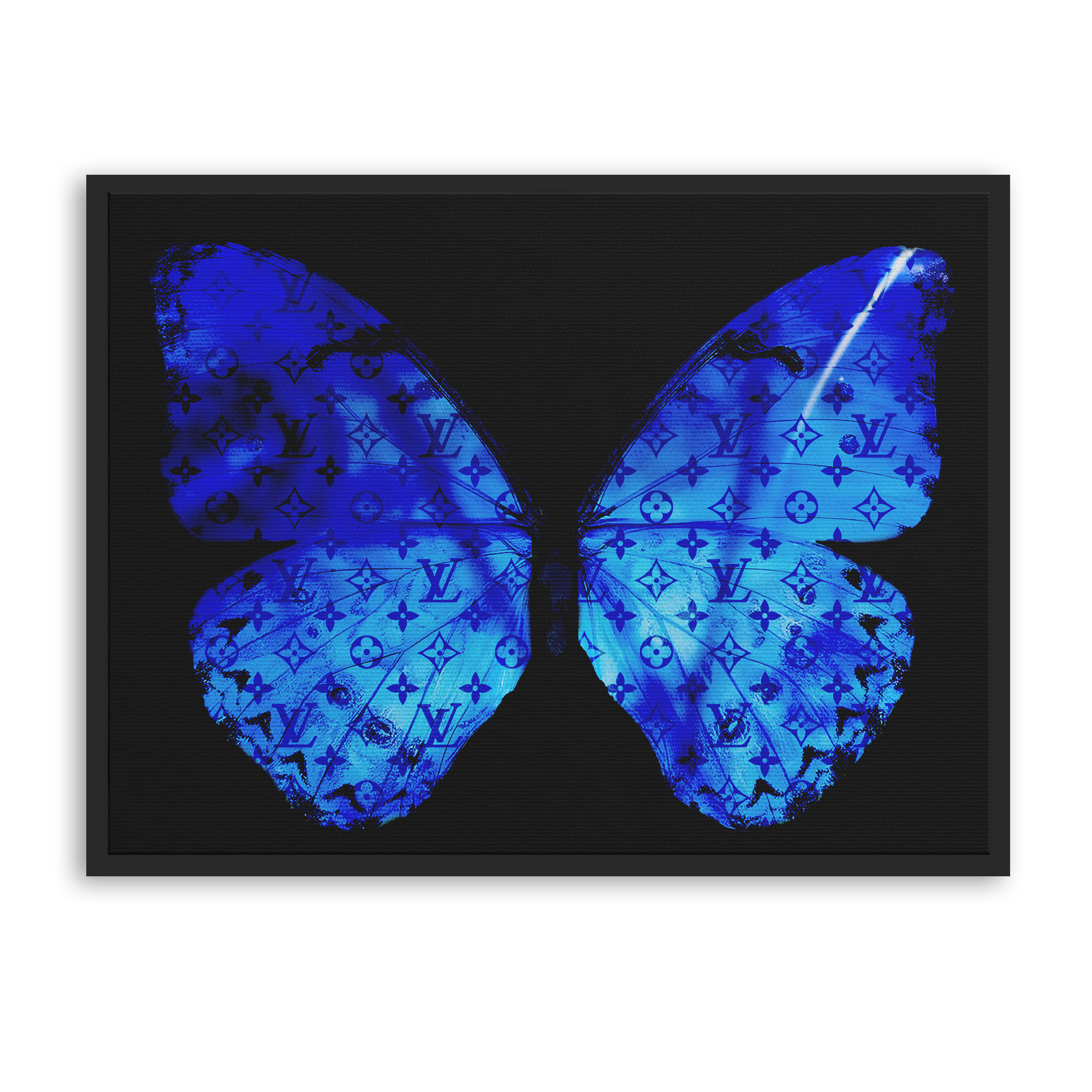 Blue Butterfly