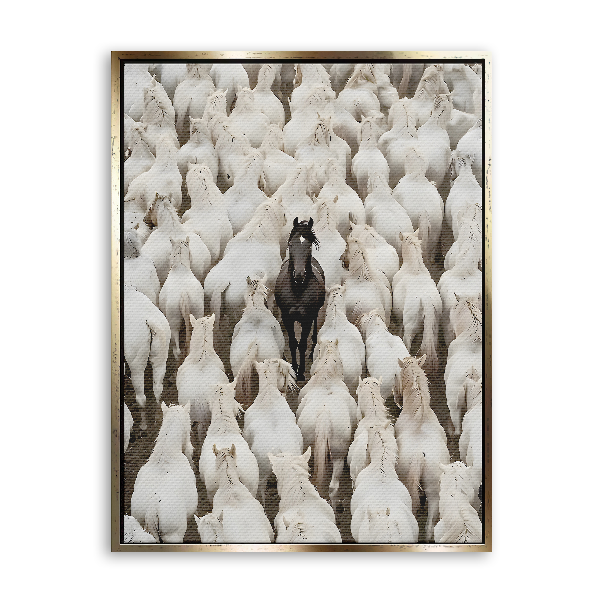 Dare to Be Different