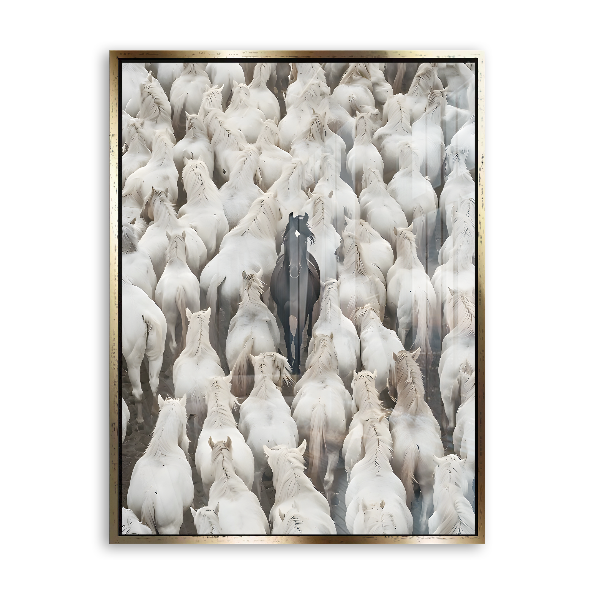 Dare to Be Different