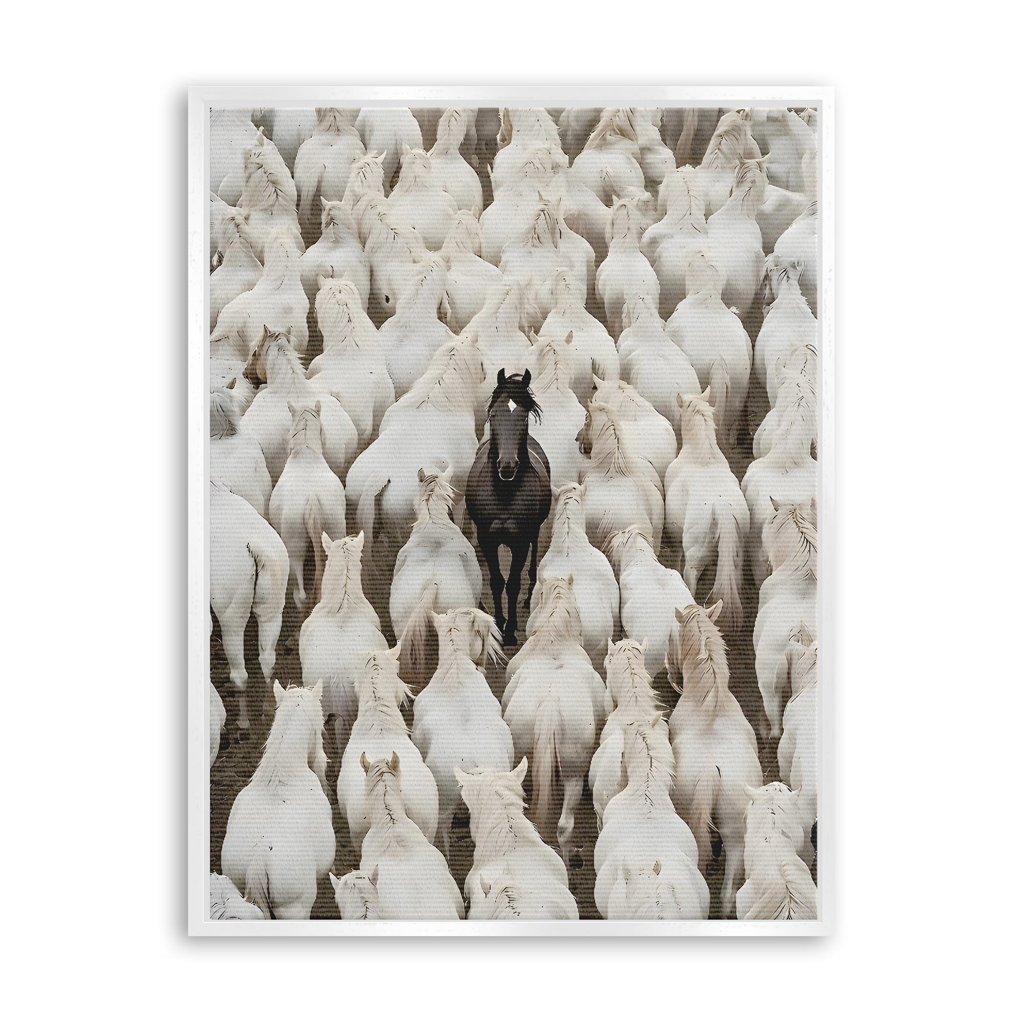 Dare to Be Different