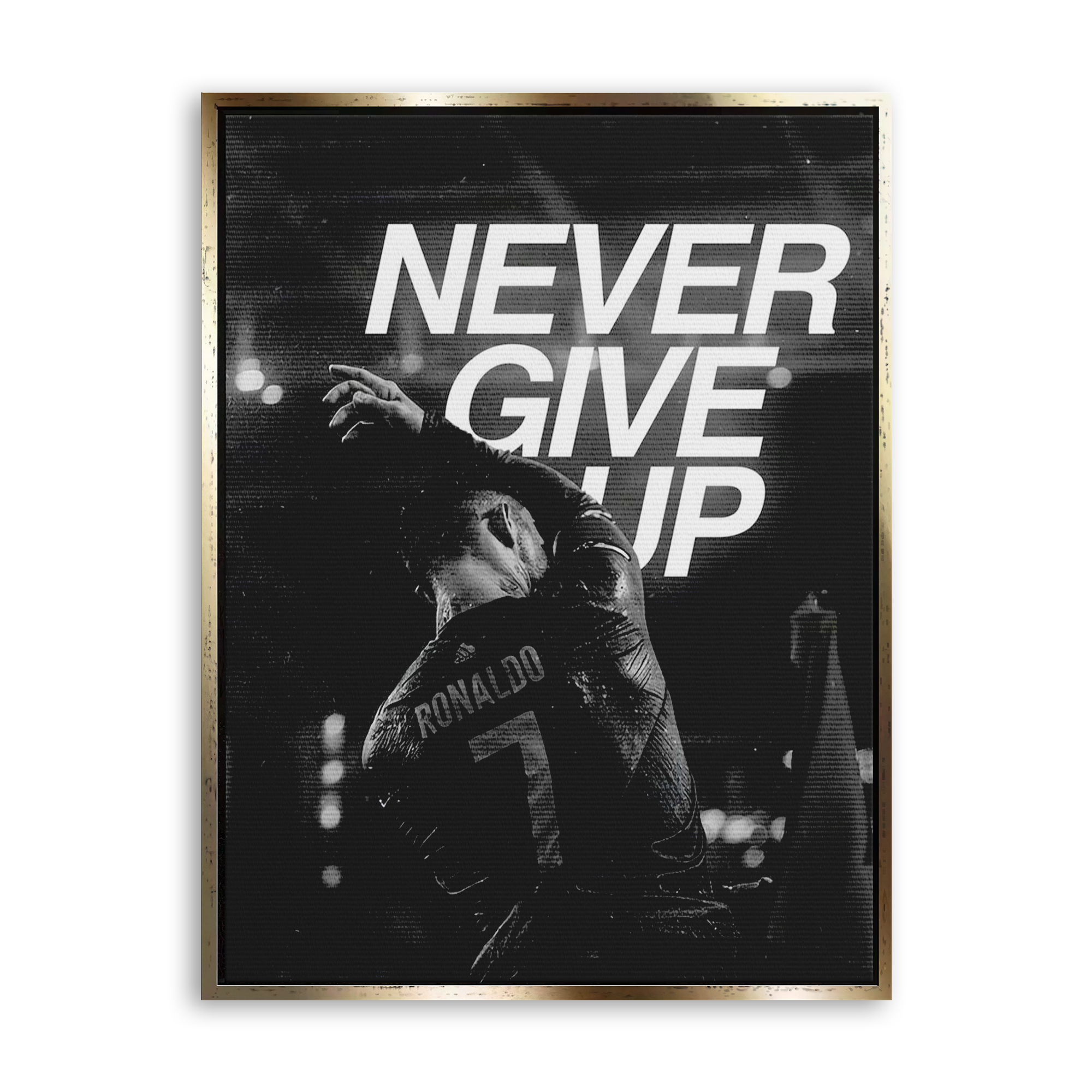 Never Give Up