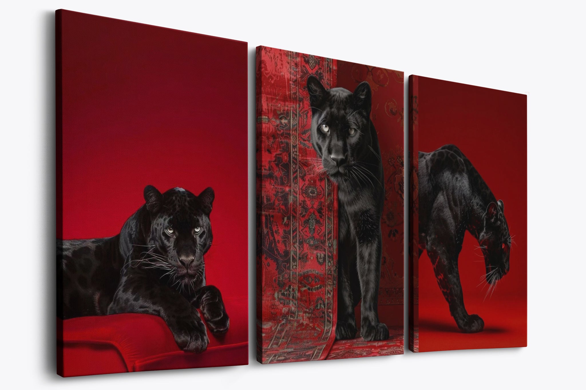 Black & Red - Bundle