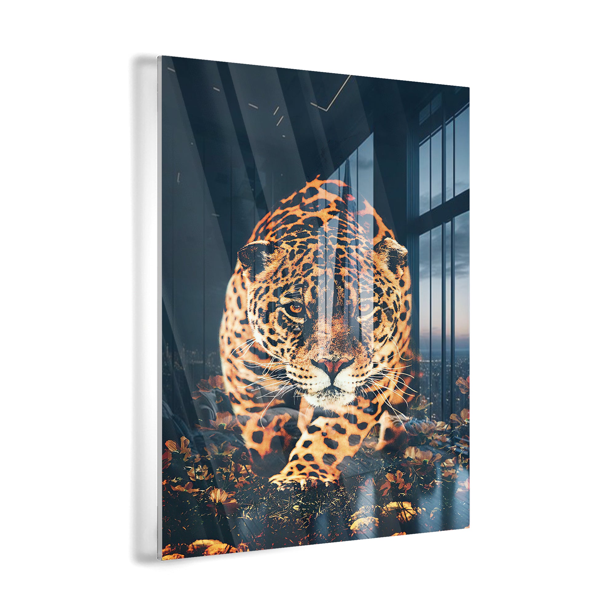 Jaguar Running Toward