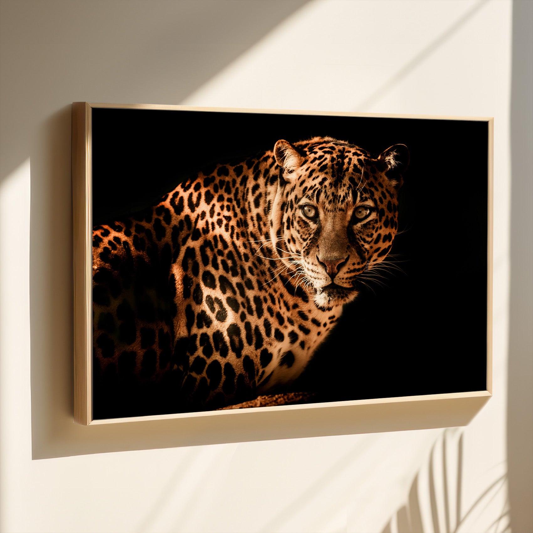 leopard