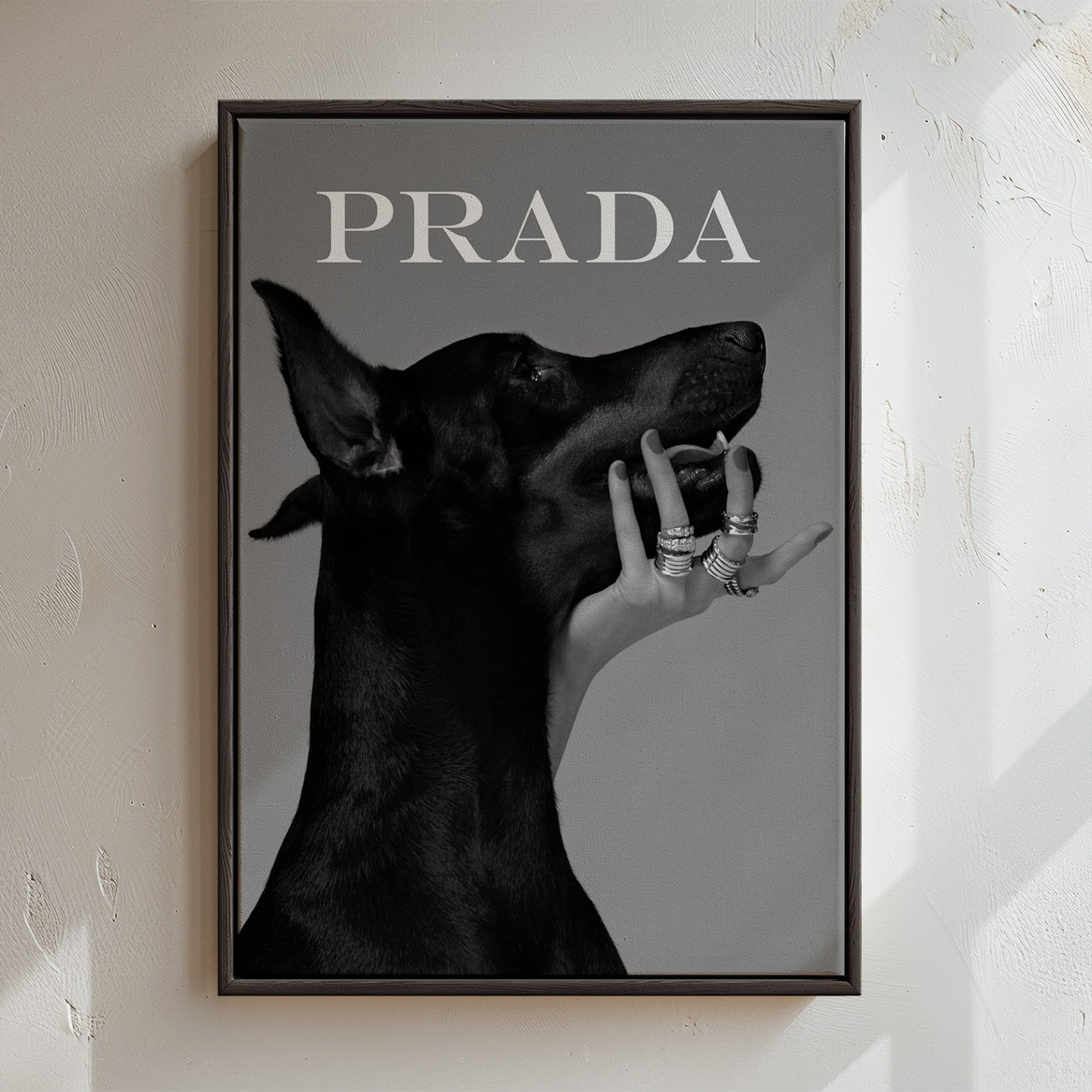 Luxury Dog