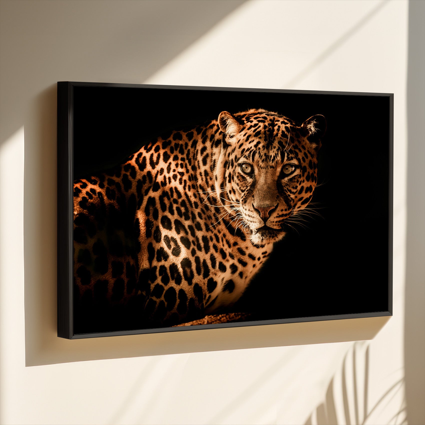 leopard