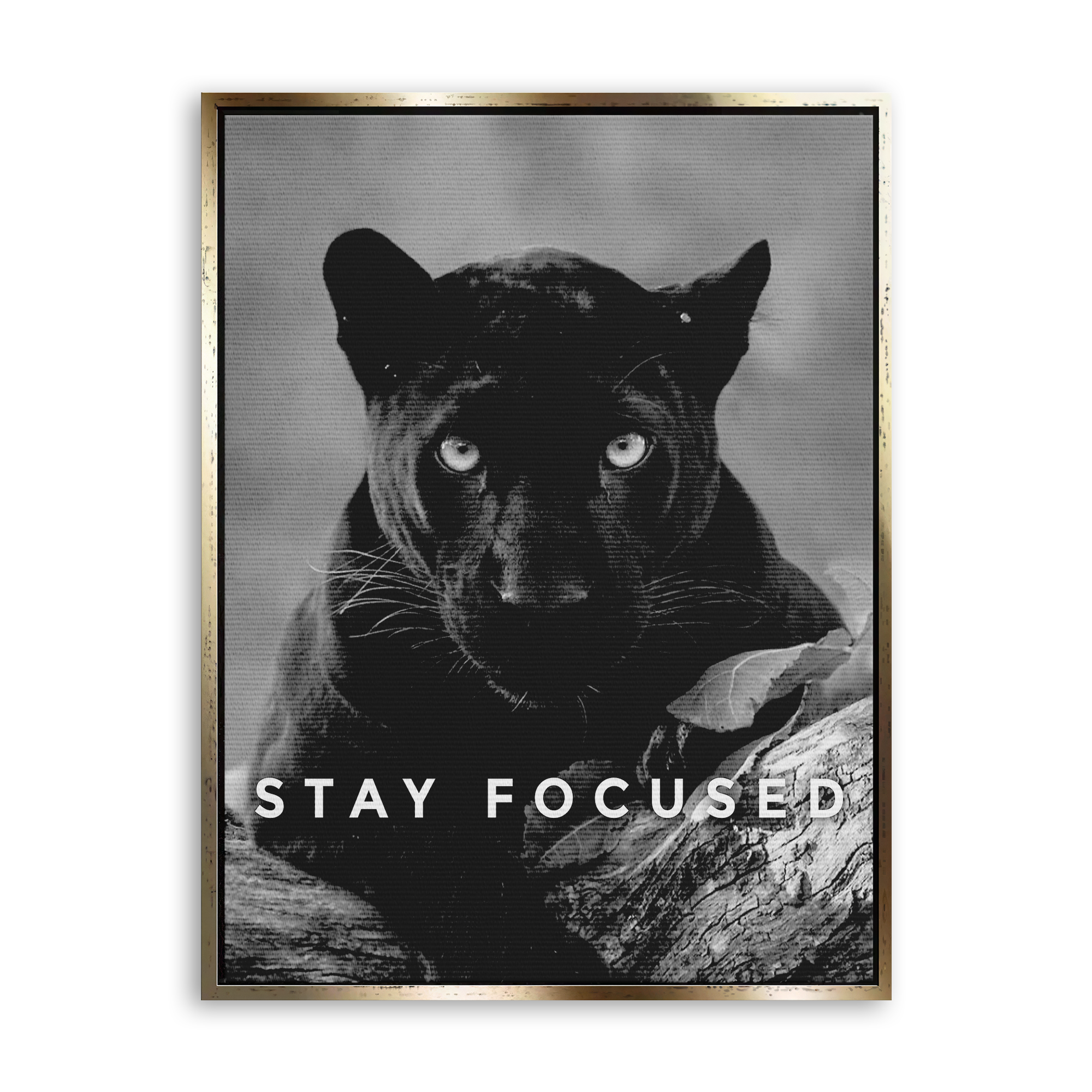 Stay Focused