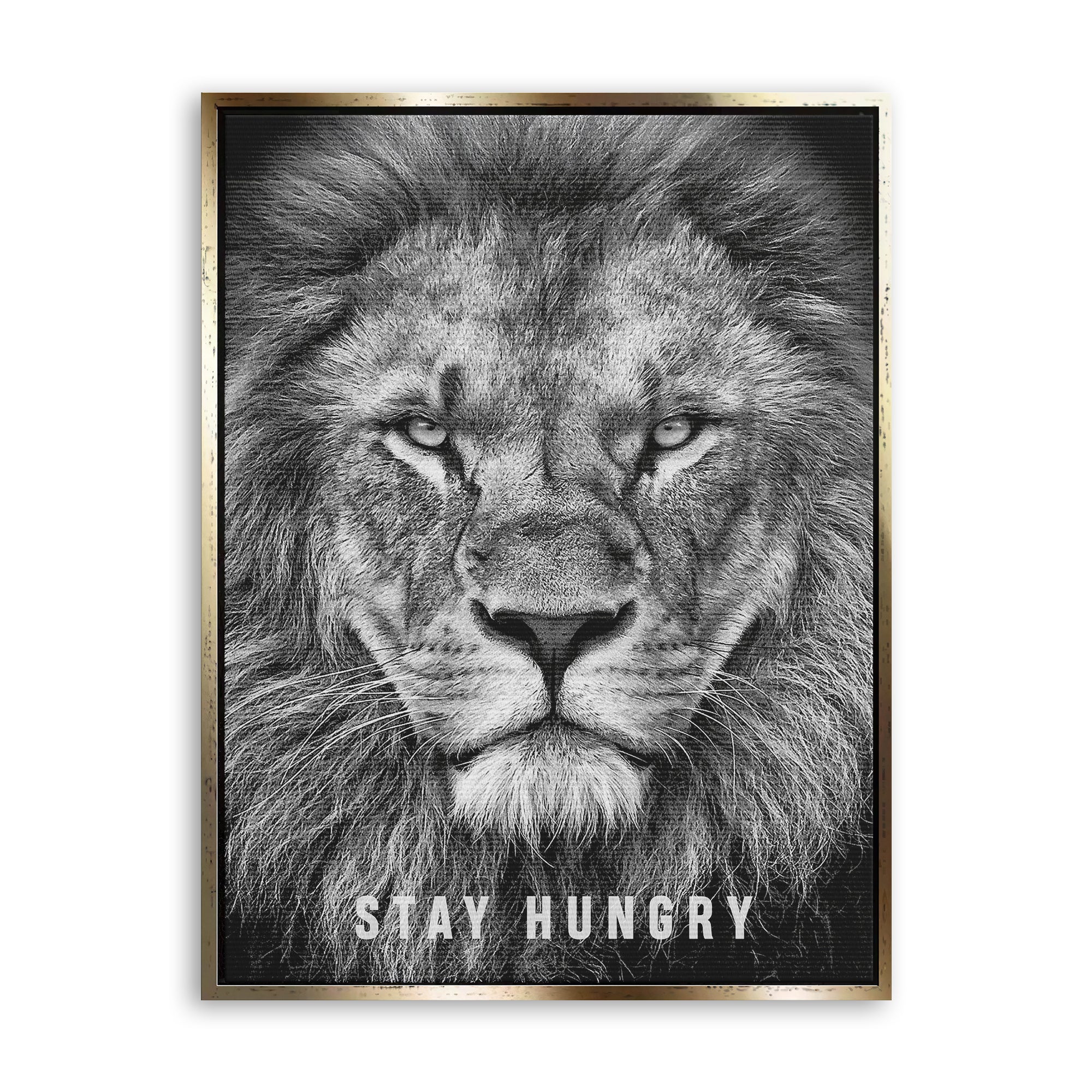 Stay Hungry