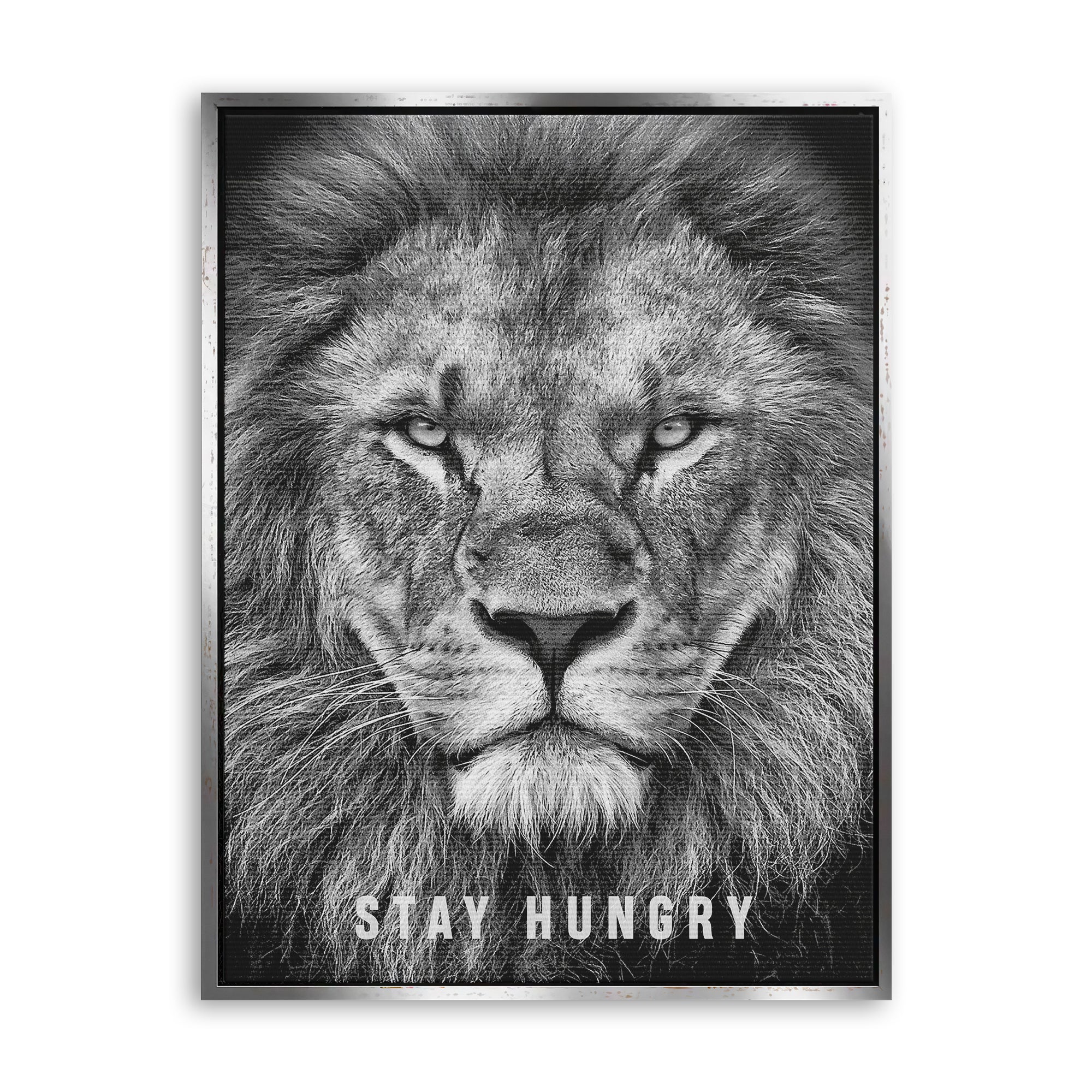 Stay Hungry