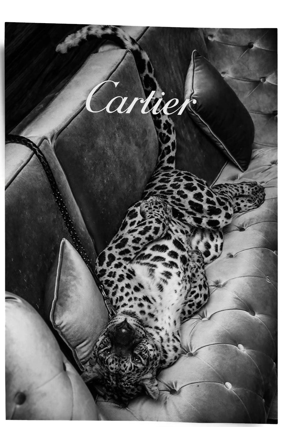 Luxury Tiger