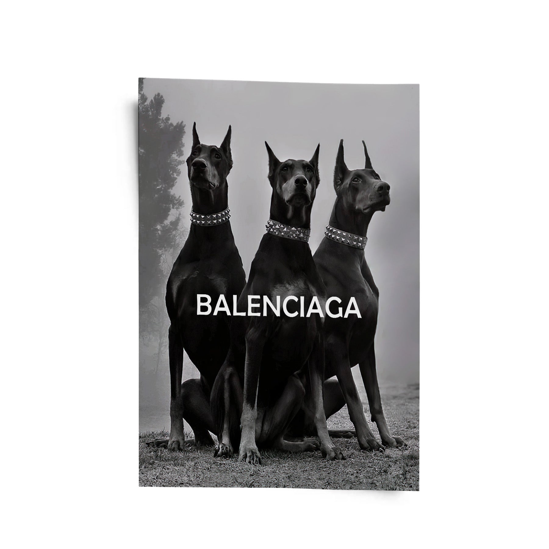Chien 