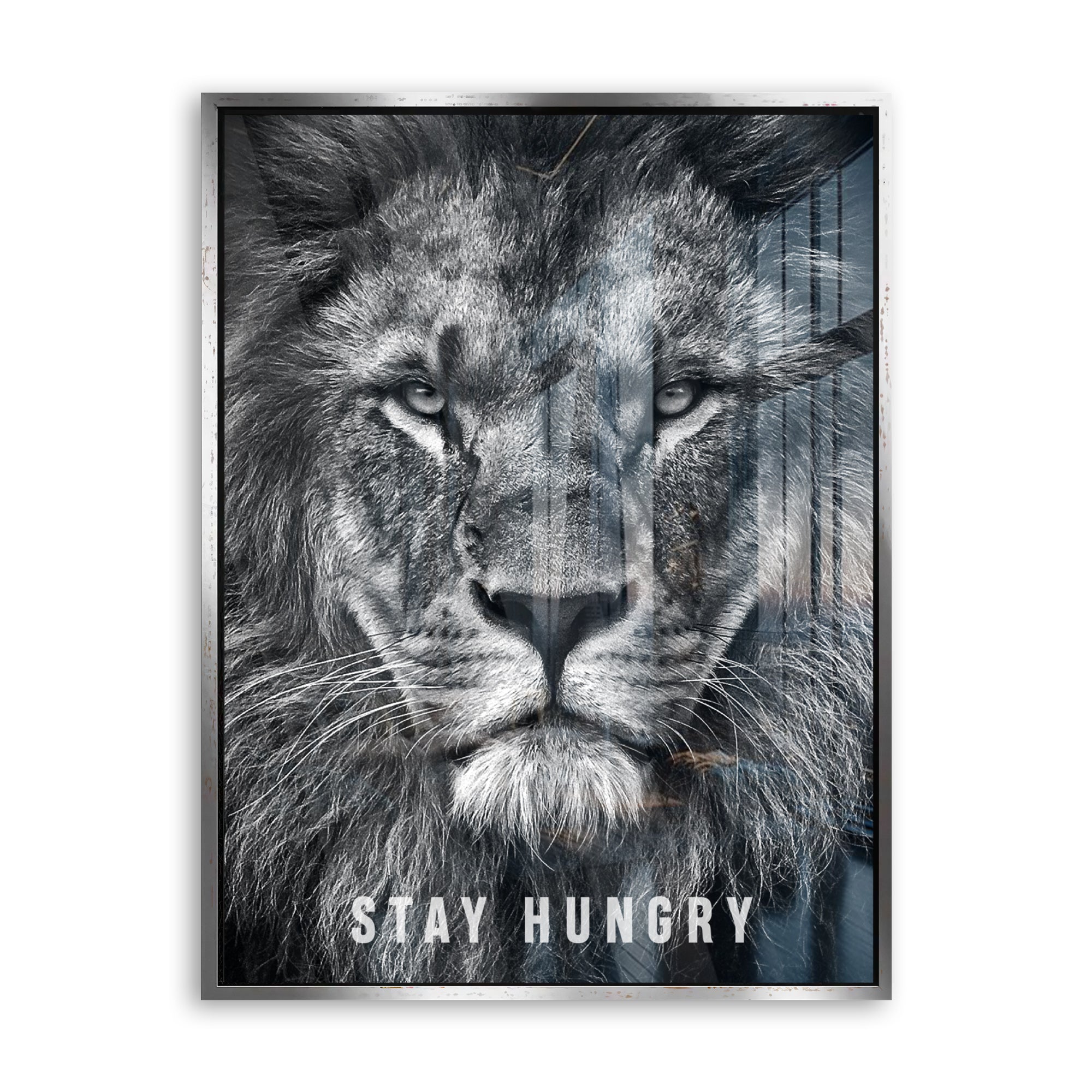 Stay Hungry