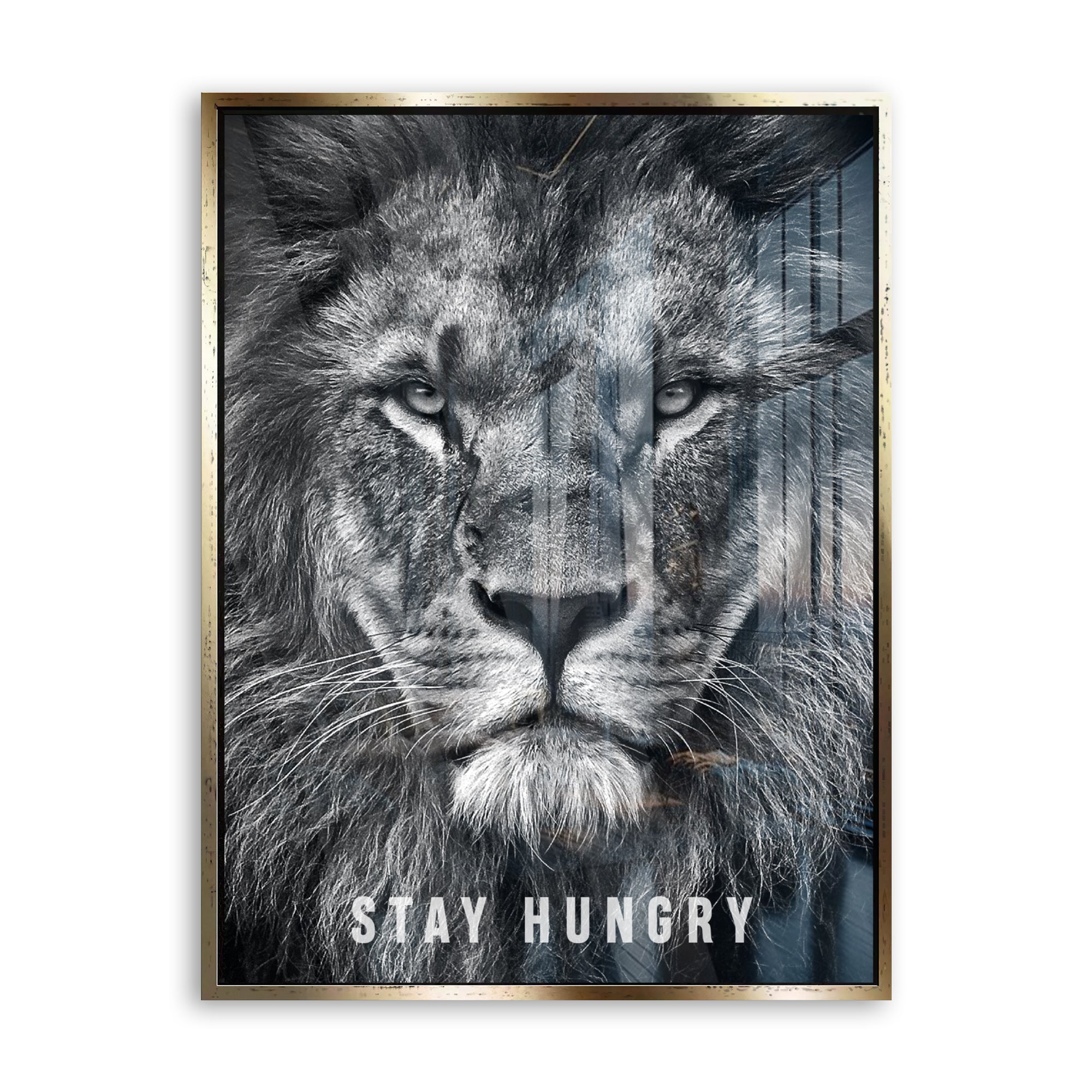 Stay Hungry