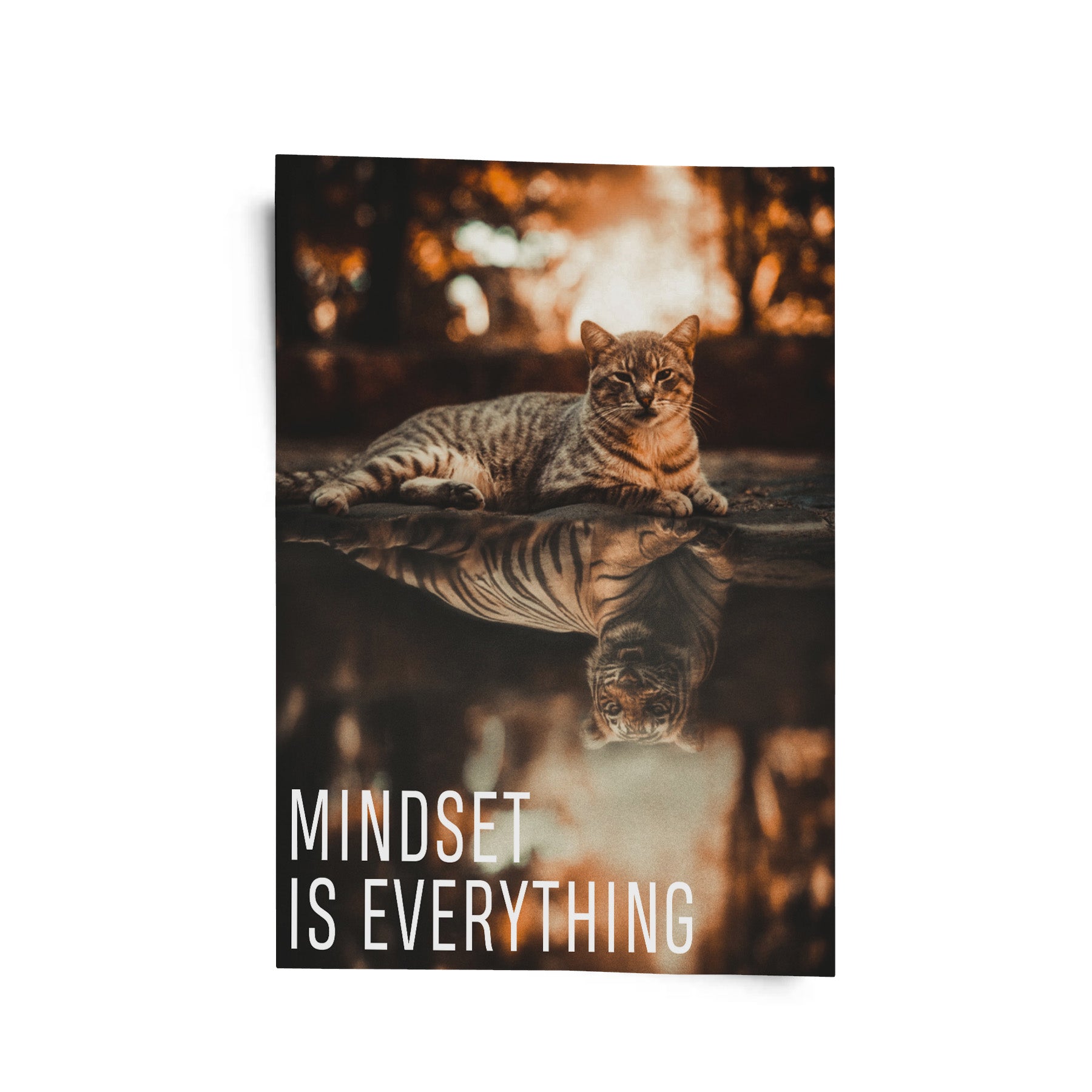 Mindset is everything