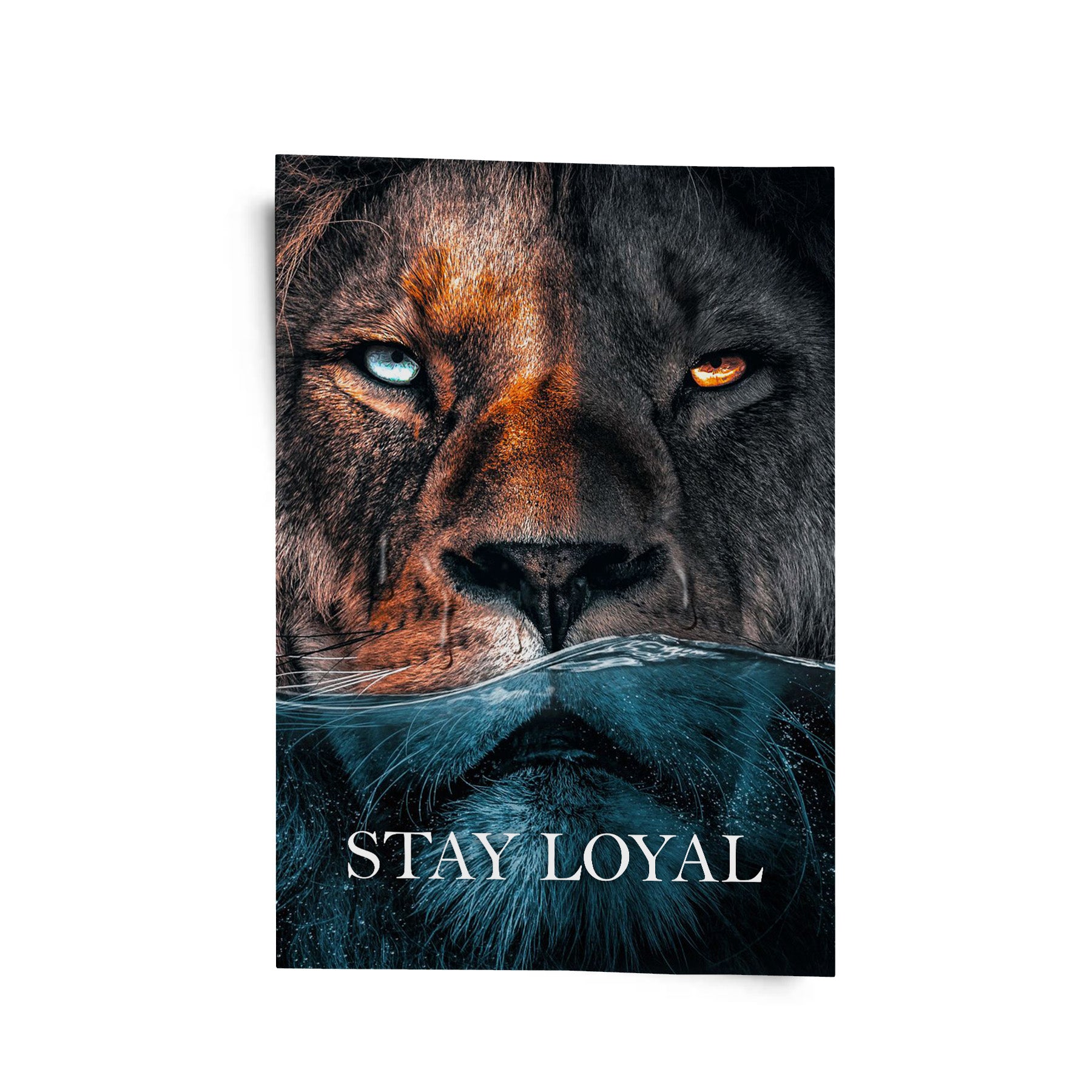 Stay Loyal 