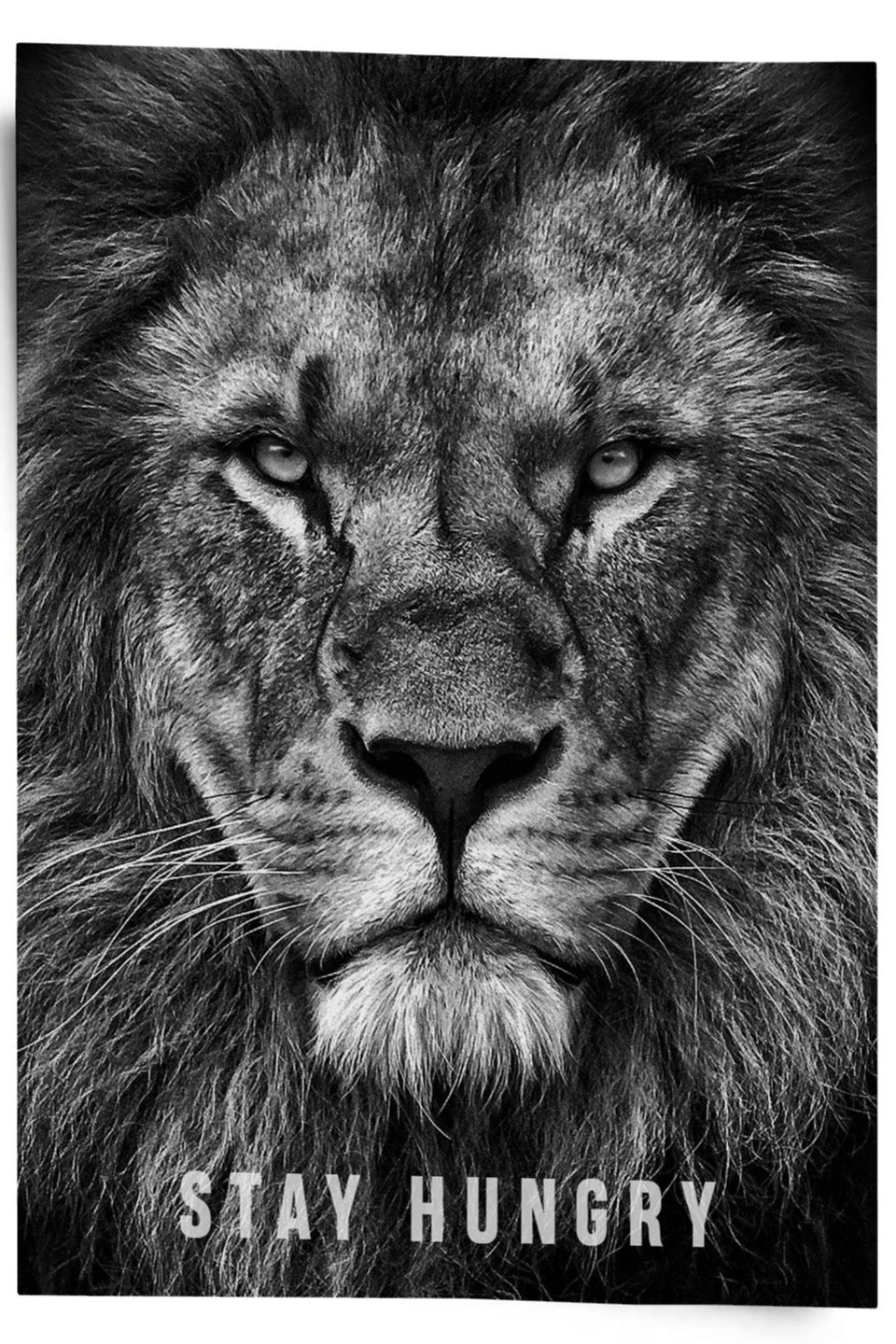 Stay Hungry