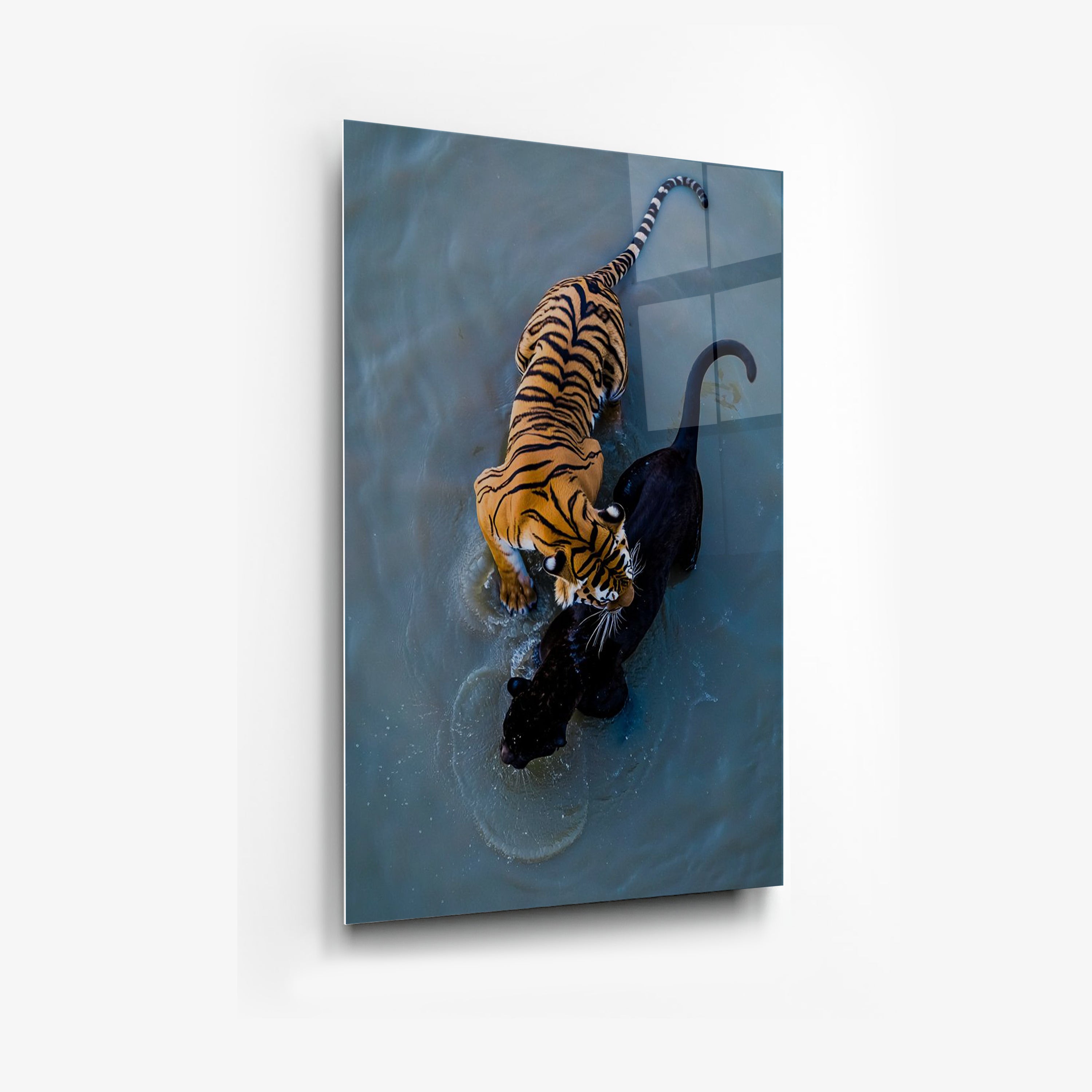 Its All Starts With A Dream - Canvas/Acrylic Glass 