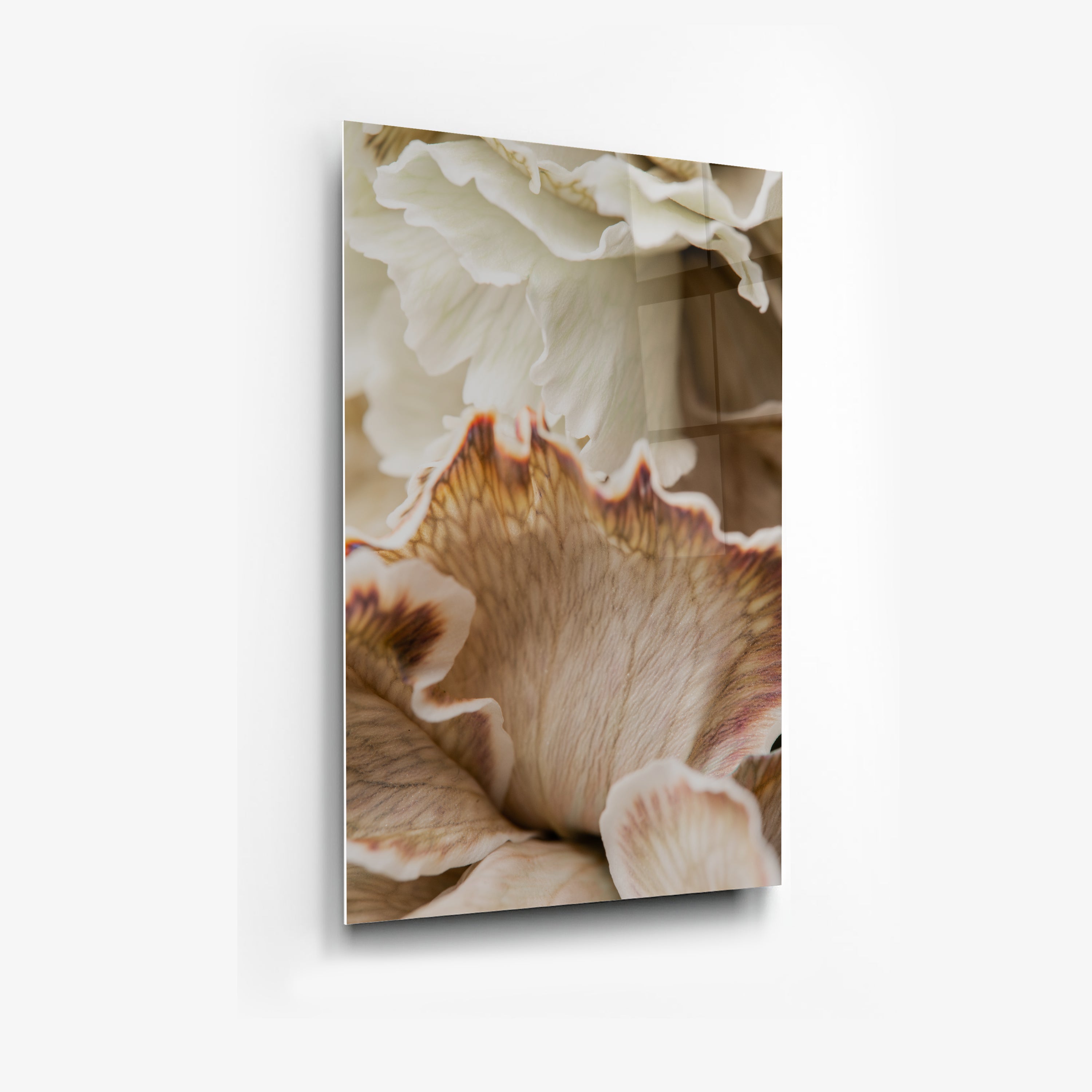 Its All Starts With A Dream - Canvas/Acrylic Glass 