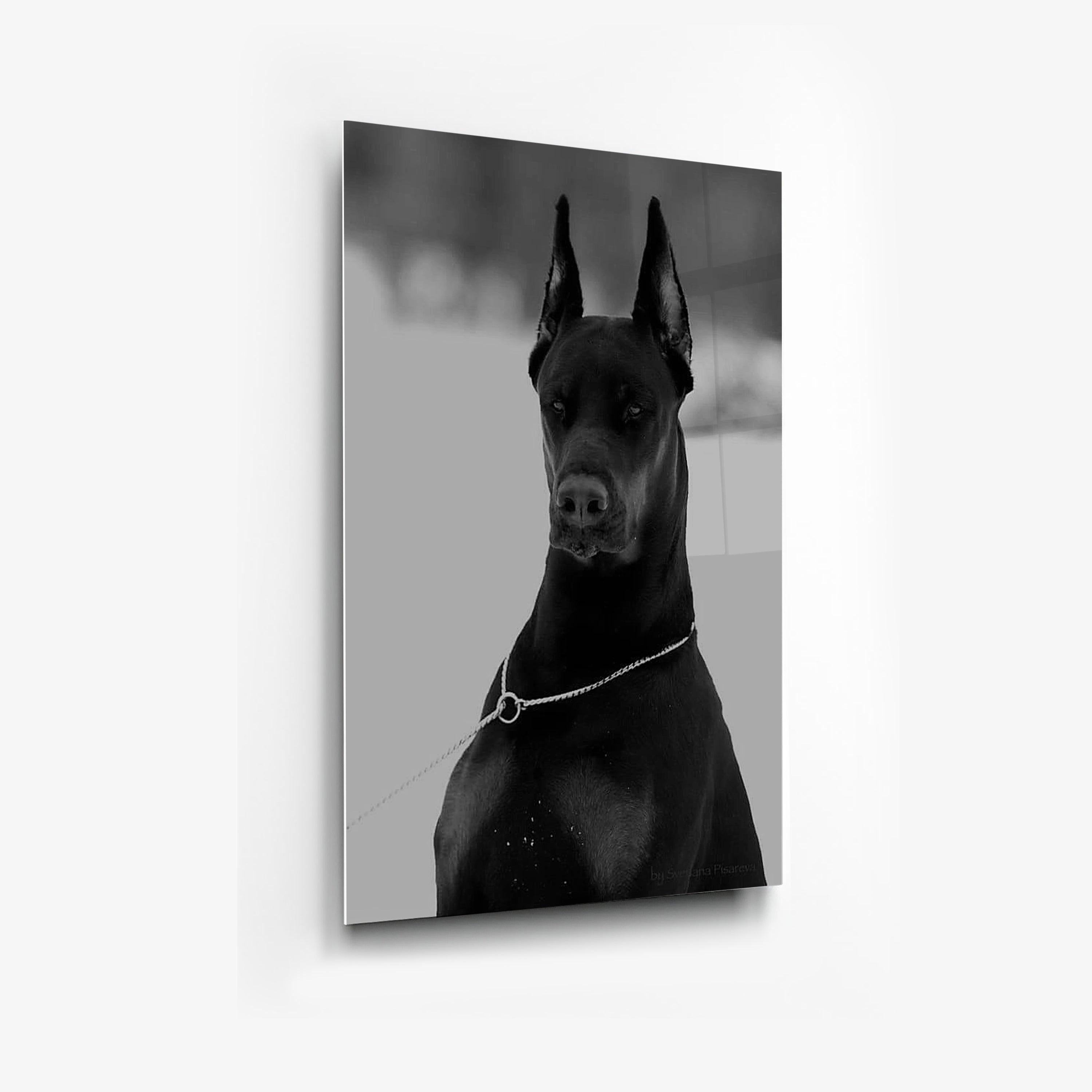 Its All Starts With A Dream - Canvas/Acrylic Glass 