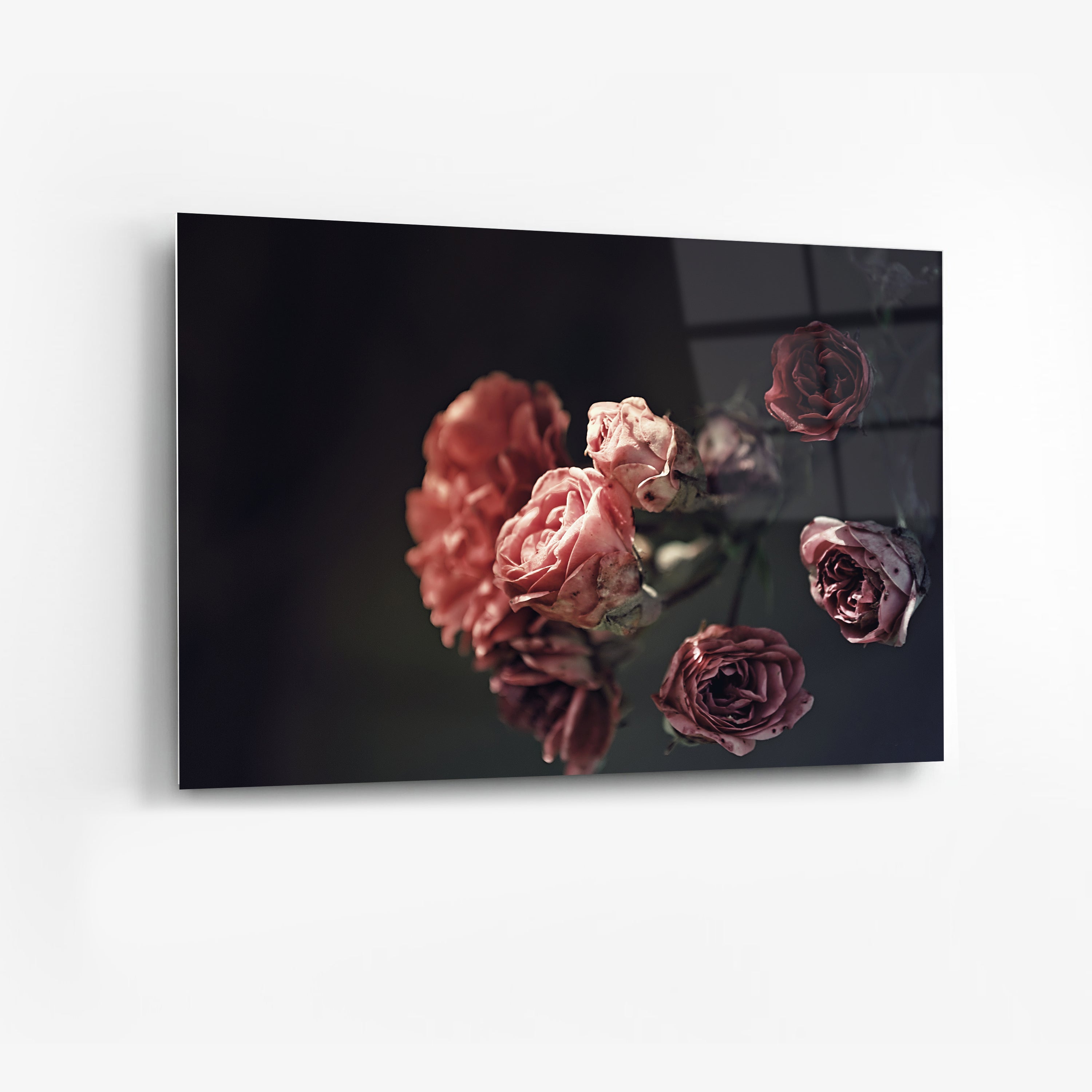 Its All Starts With A Dream - Canvas/Acrylic Glass 