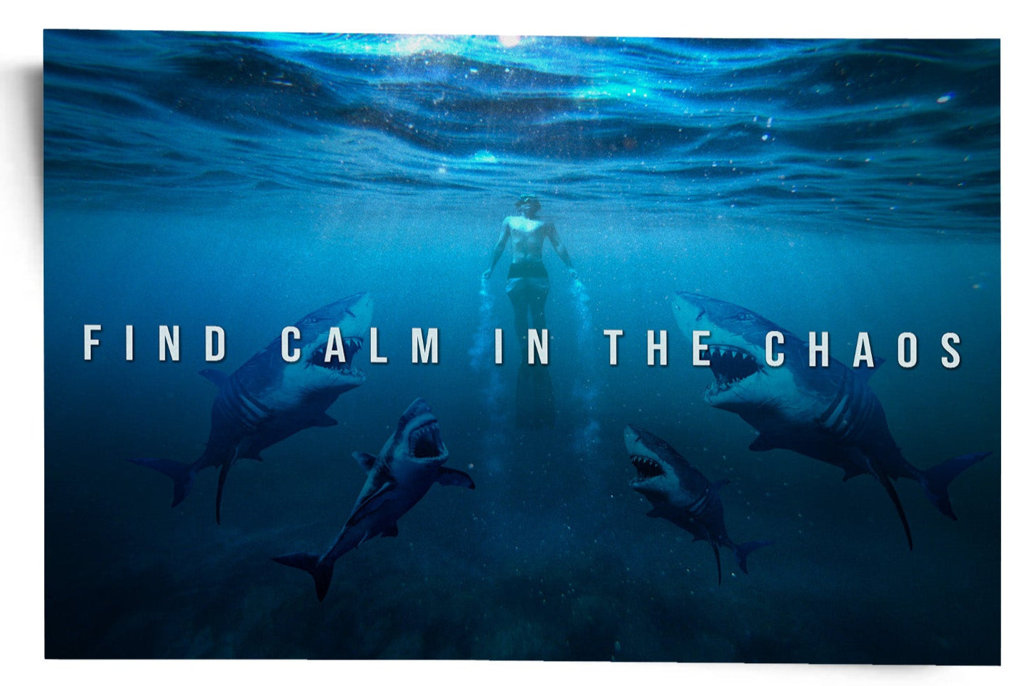 Find calm in the chaos