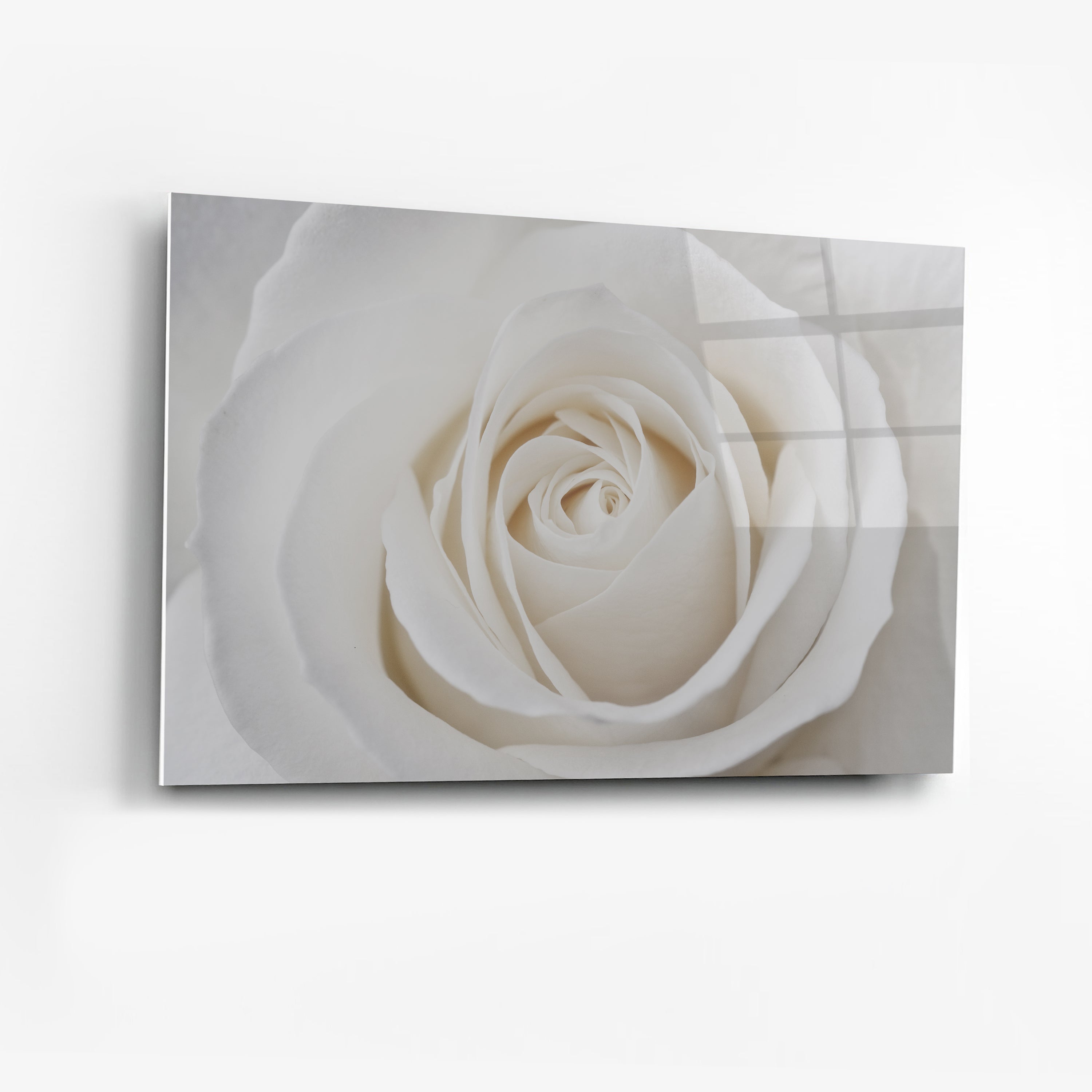 Its All Starts With A Dream - Canvas/Acrylic Glass 