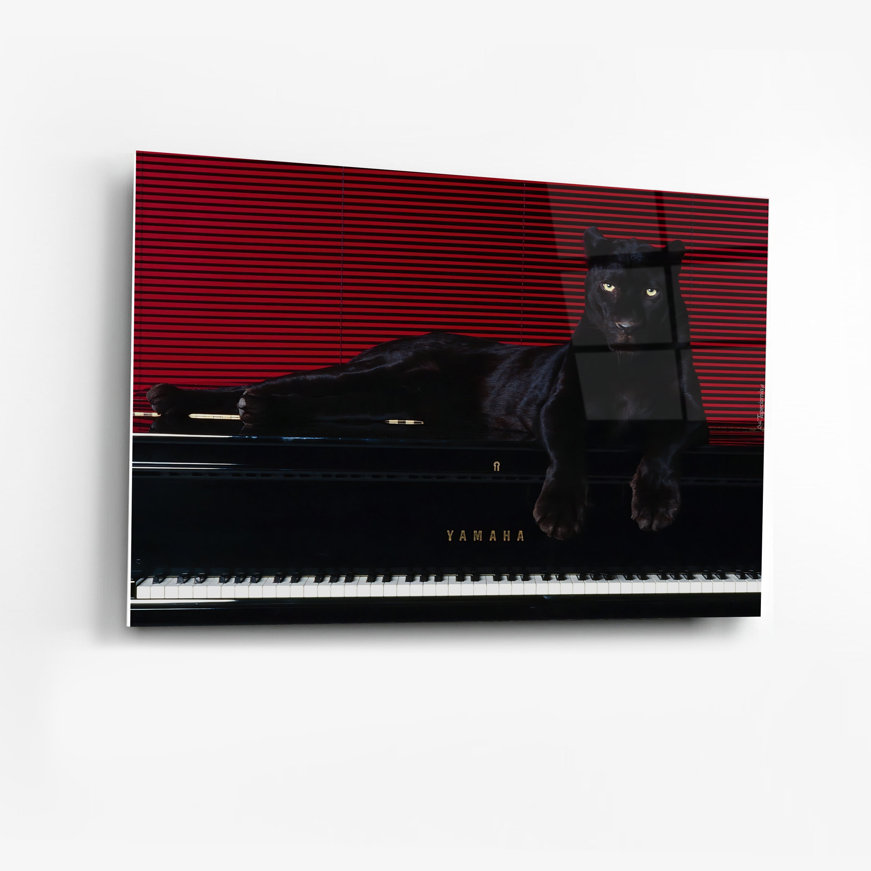 Its All Starts With A Dream - Canvas/Acrylic Glass 