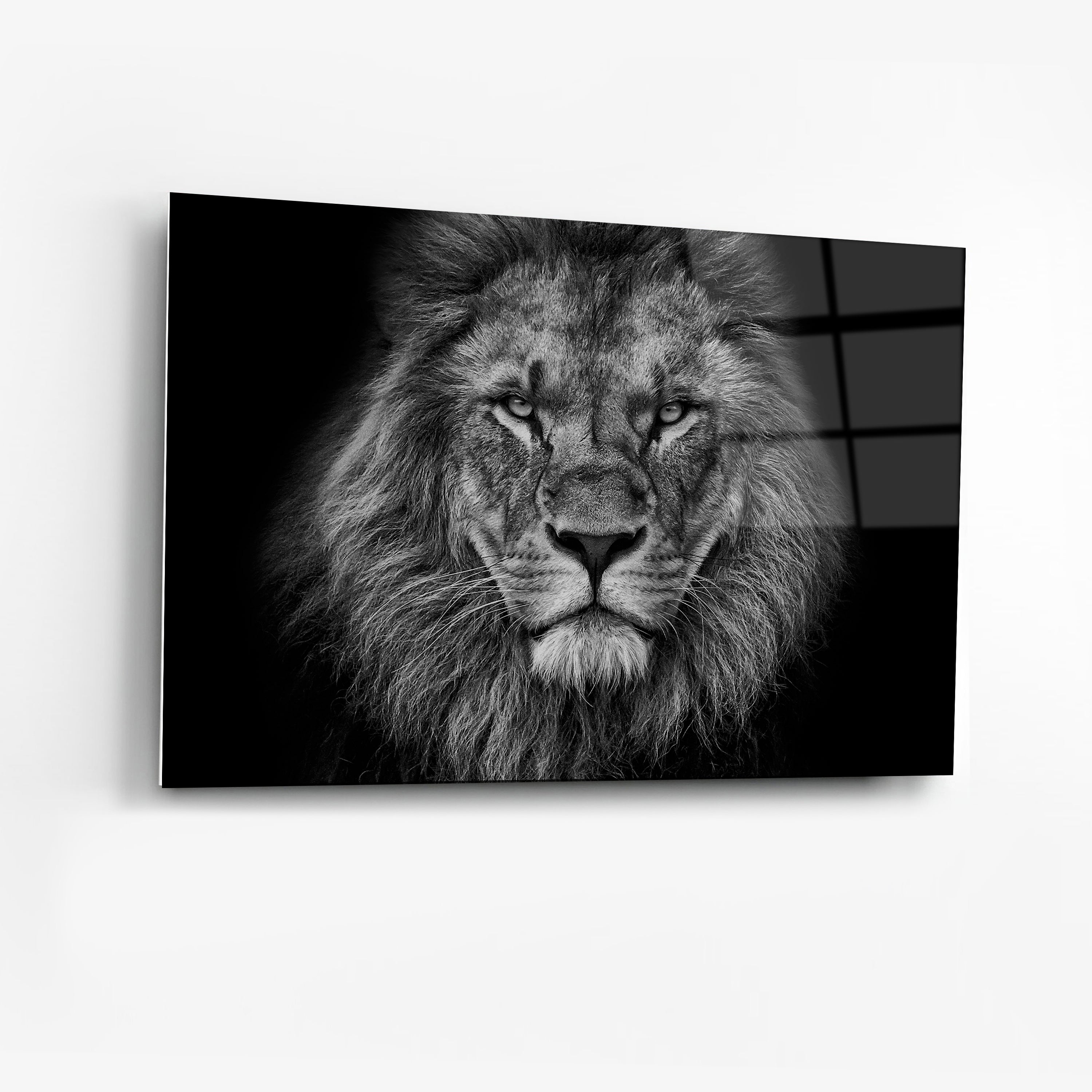 Its All Starts With A Dream - Canvas/Acrylic Glass 
