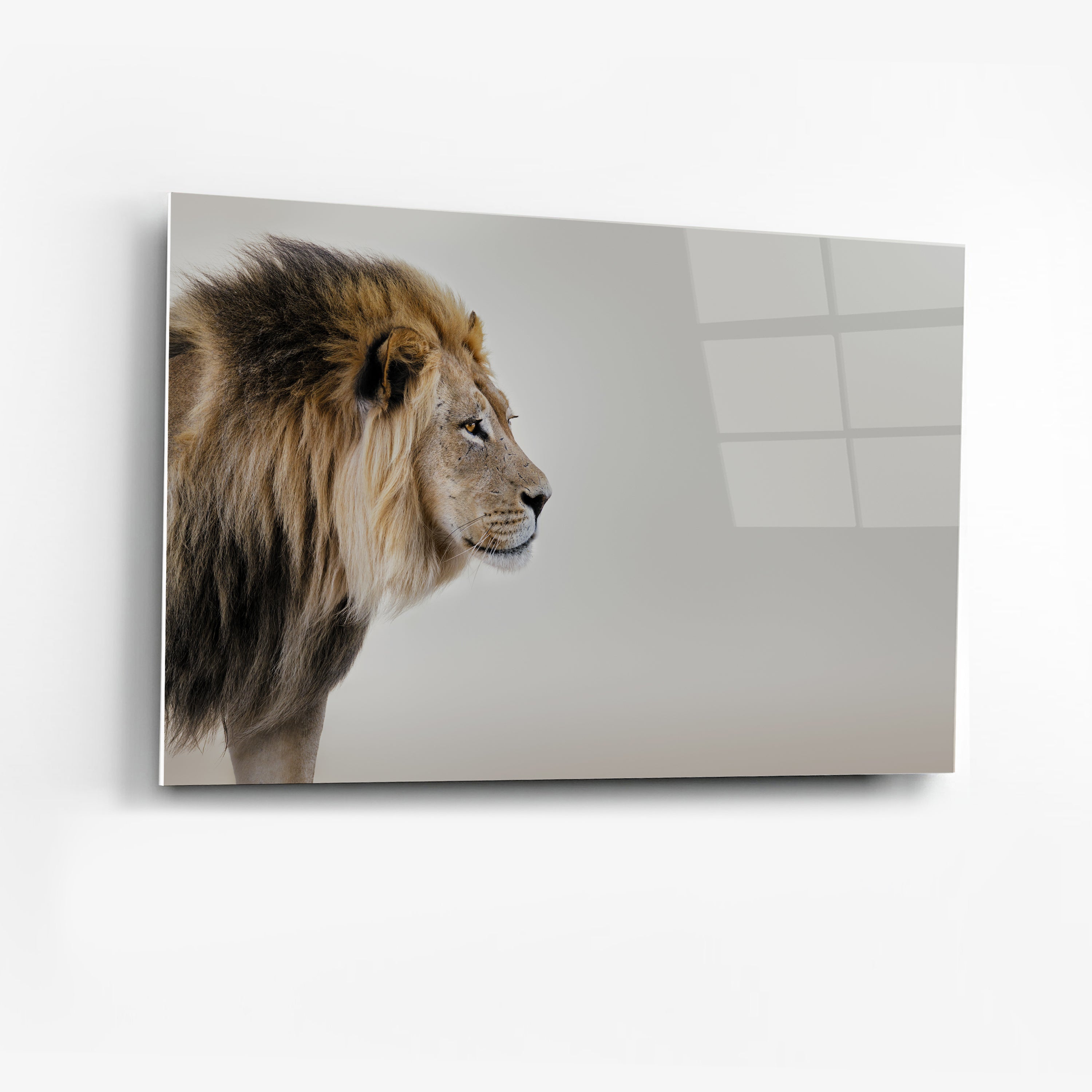 Its All Starts With A Dream - Canvas/Acrylic Glass 
