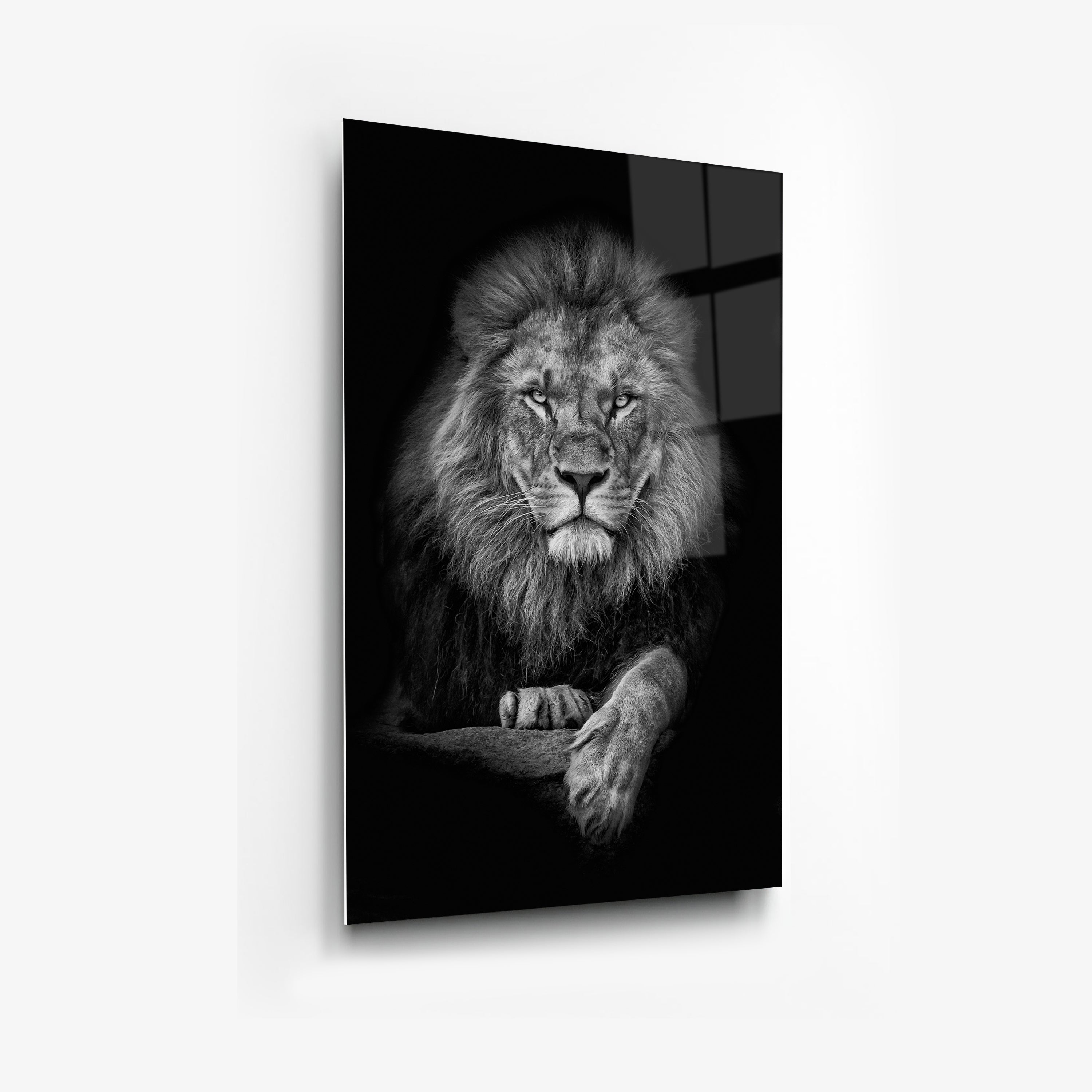 Its All Starts With A Dream - Canvas/Acrylic Glass 