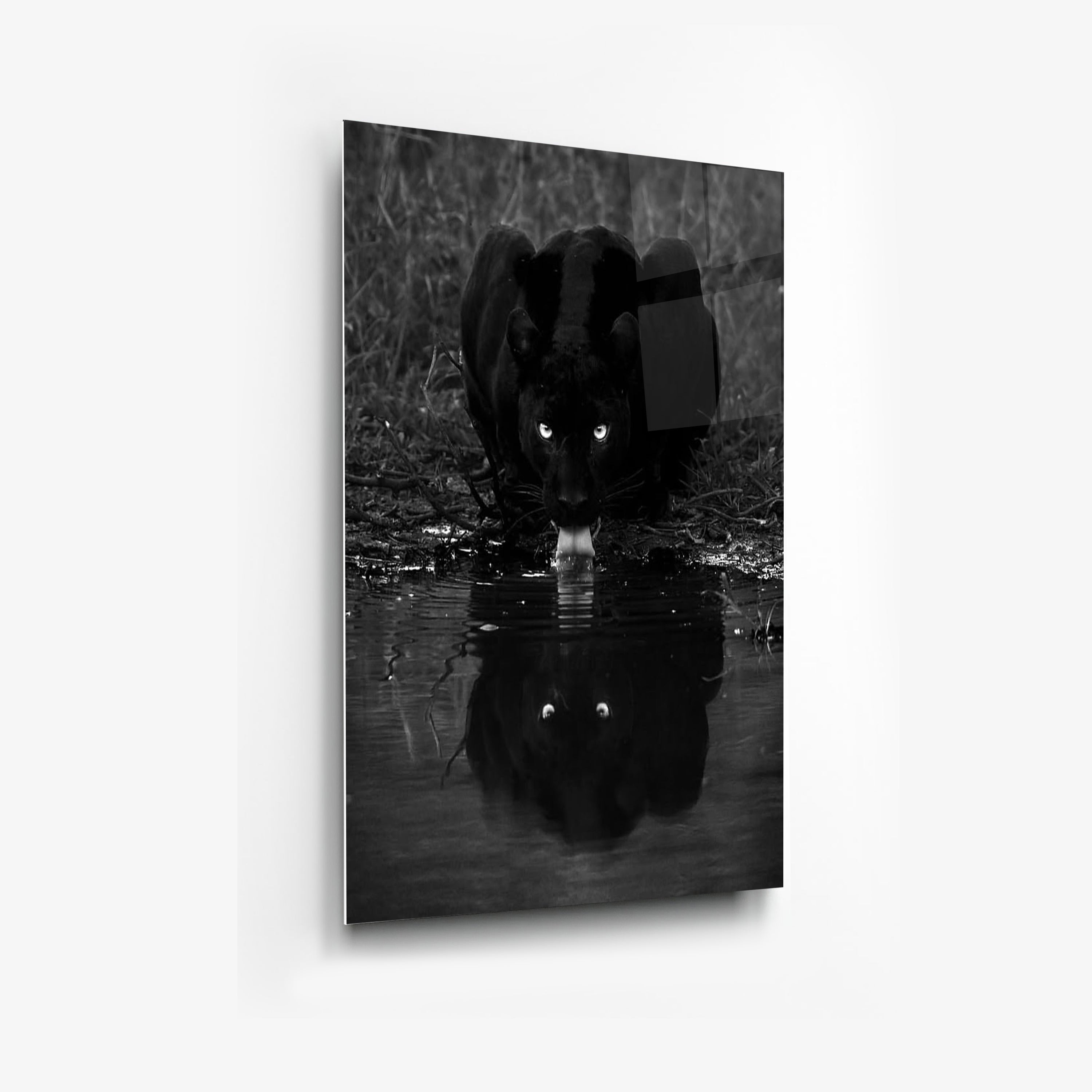 Its All Starts With A Dream - Canvas/Acrylic Glass 