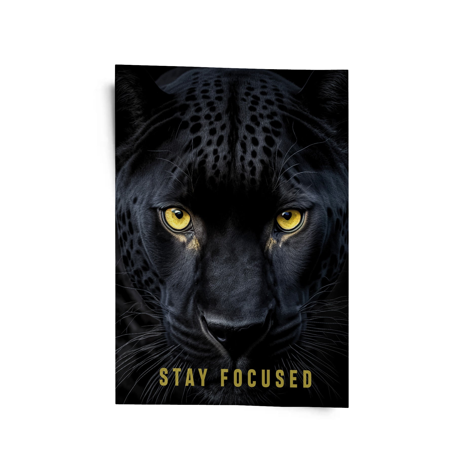 Stay Focused