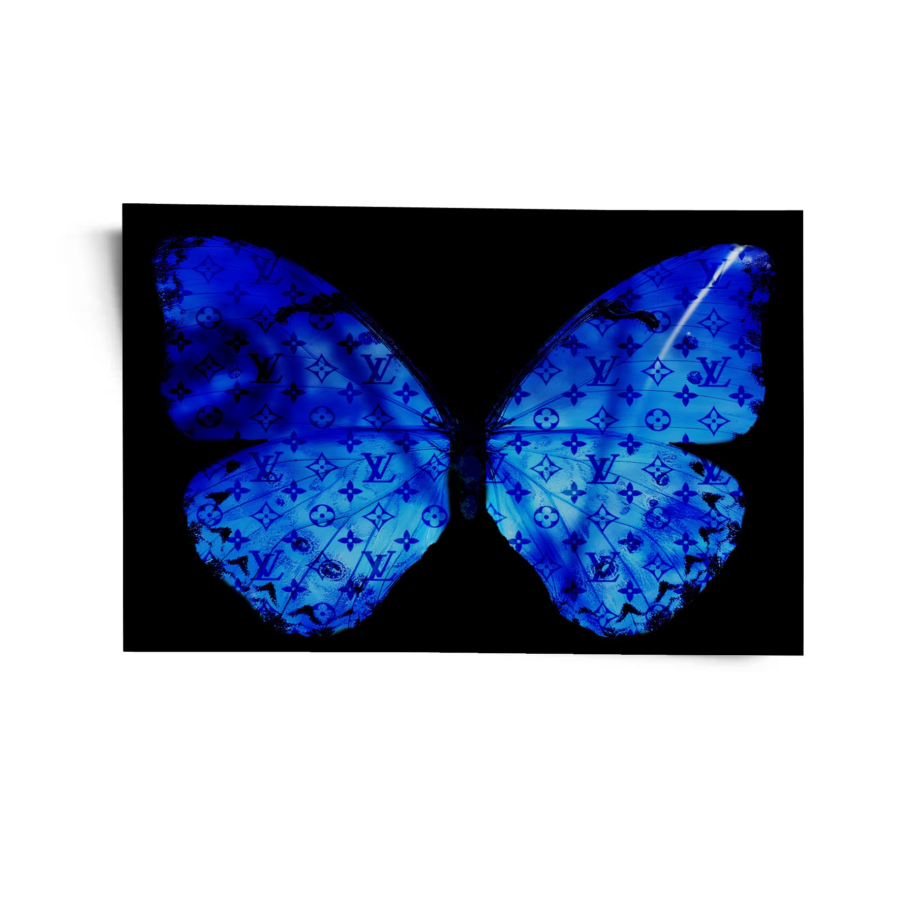 Blue Butterfly