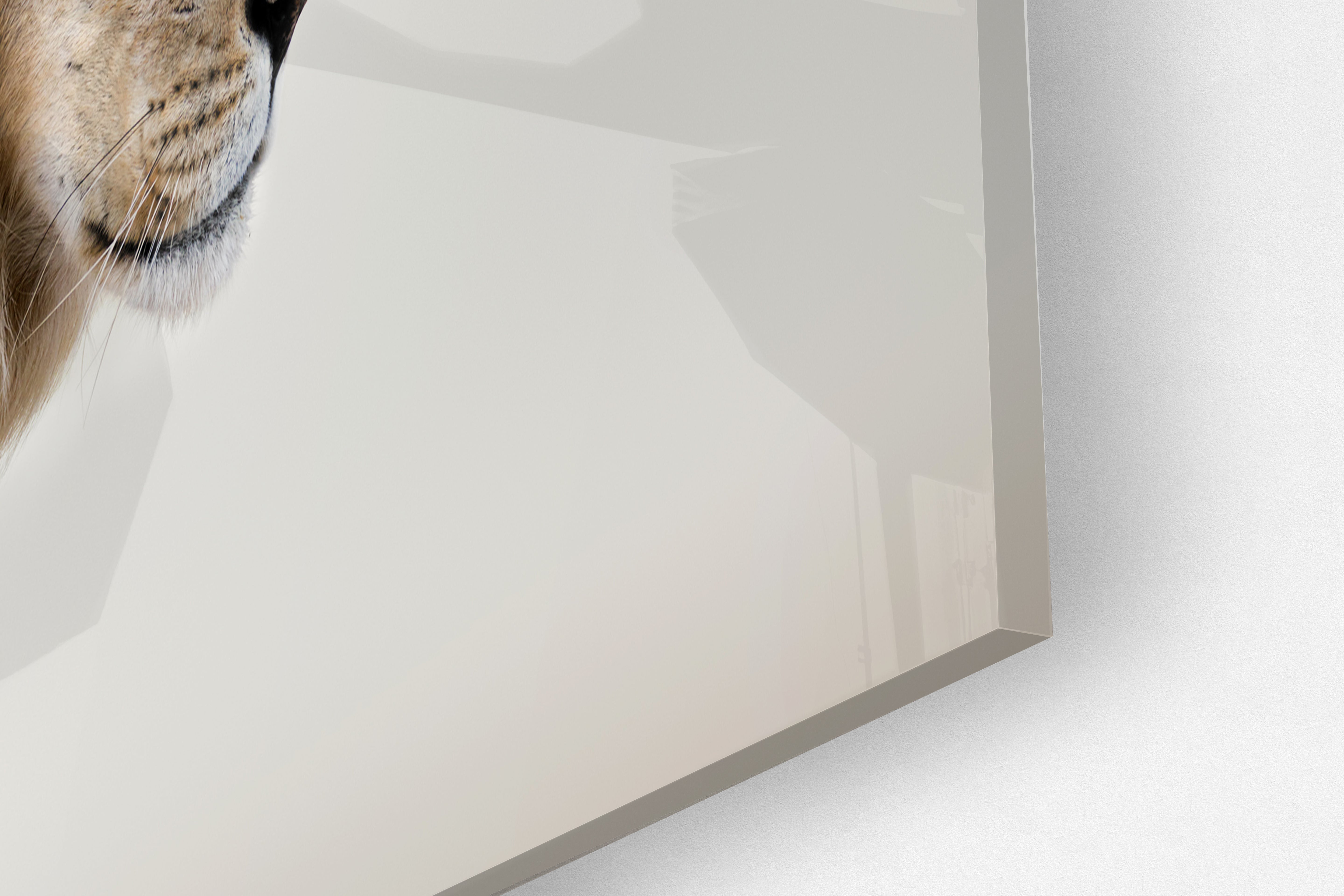 Its All Starts With A Dream - Canvas/Acrylic Glass 