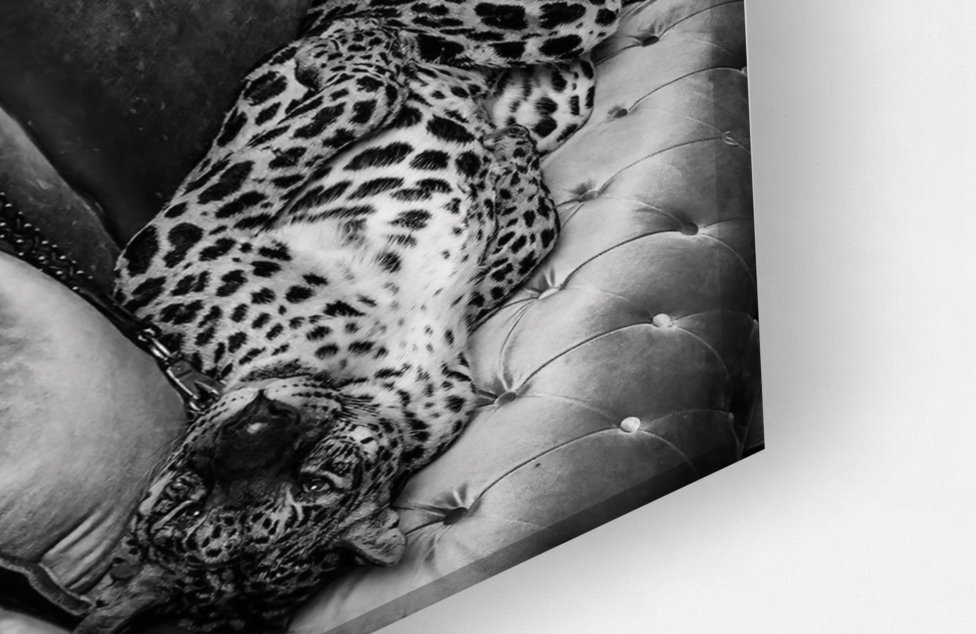 Luxury Tiger