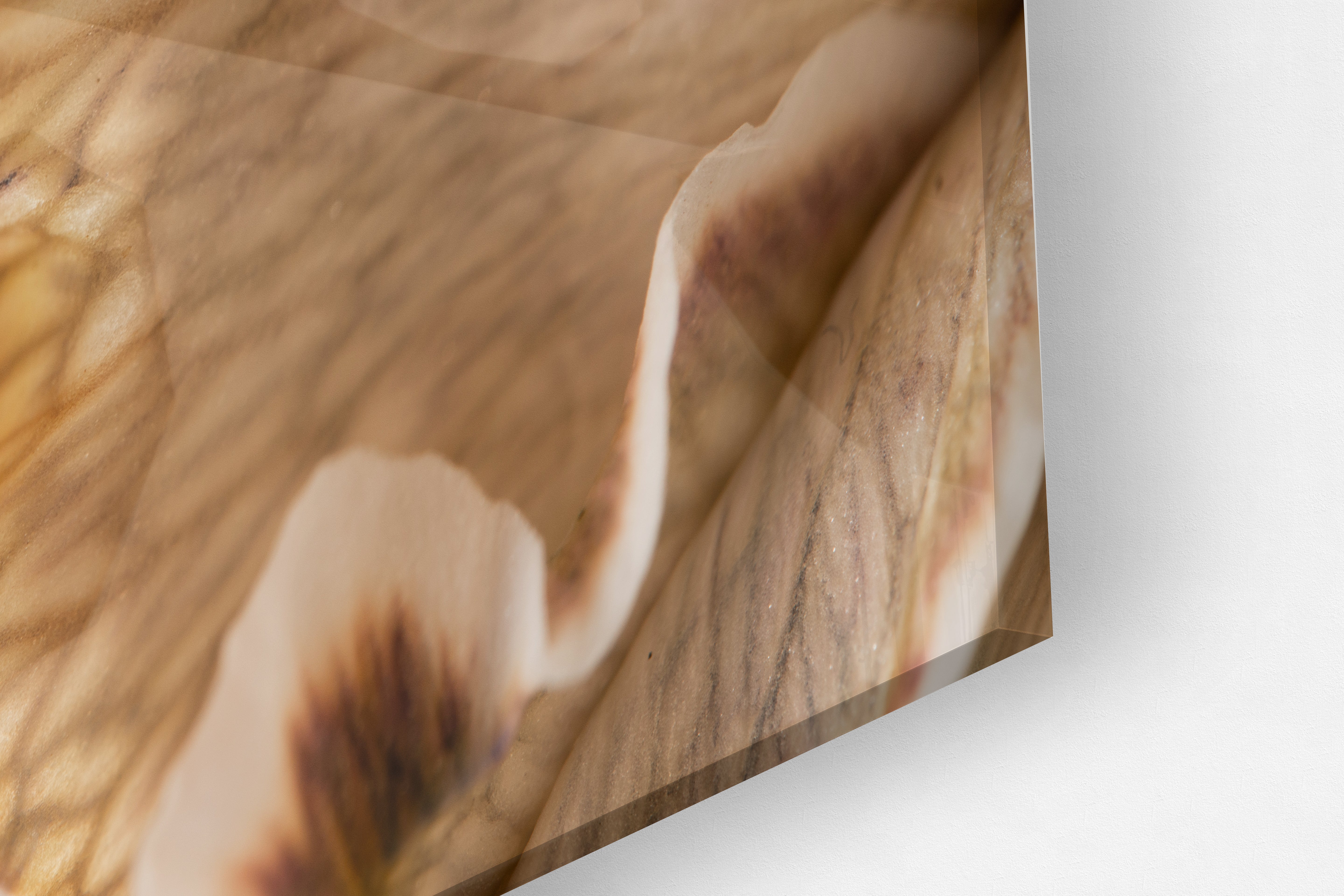 Its All Starts With A Dream - Canvas/Acrylic Glass 