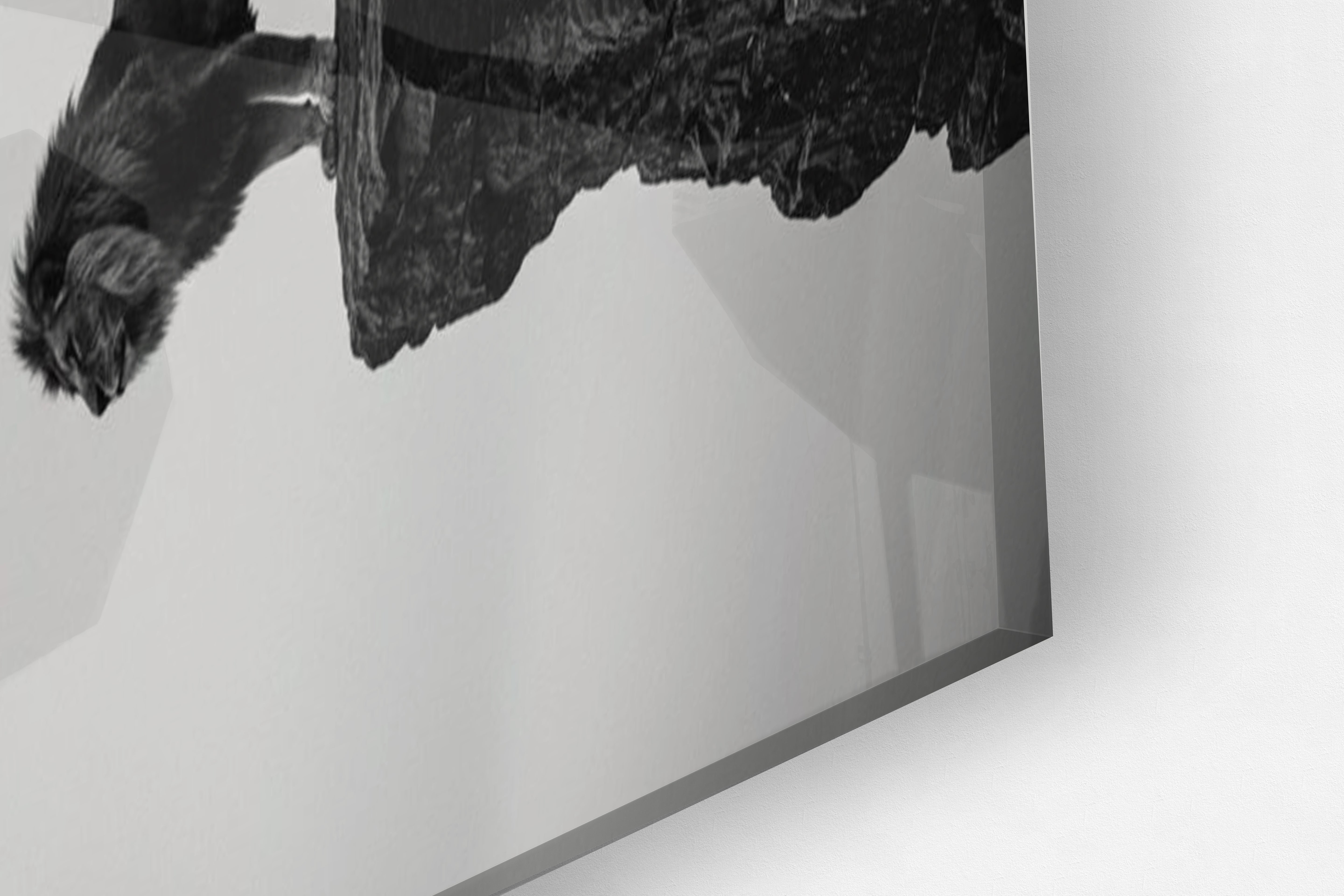 Its All Starts With A Dream - Canvas/Acrylic Glass 