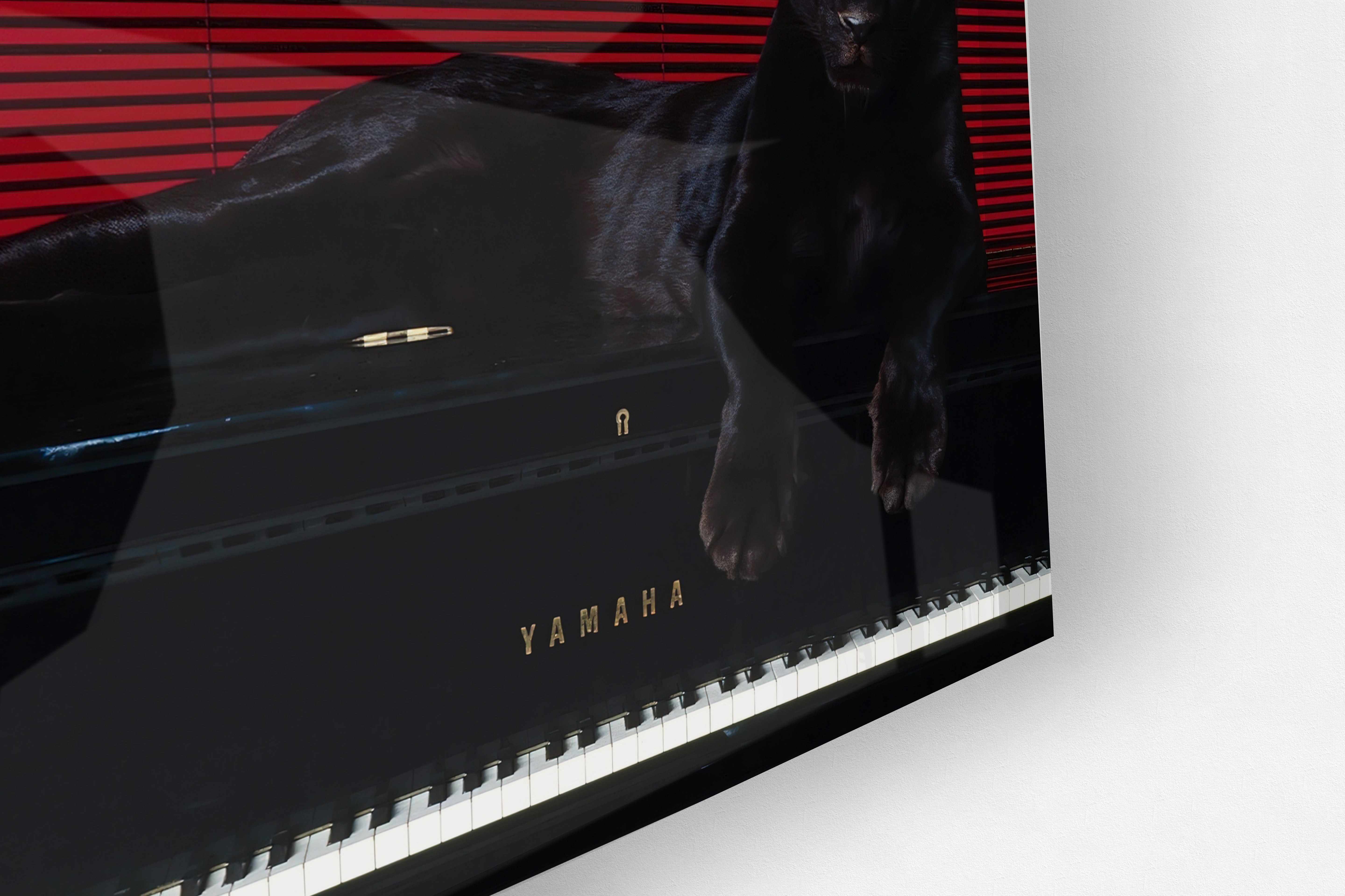 Predator’s Melody