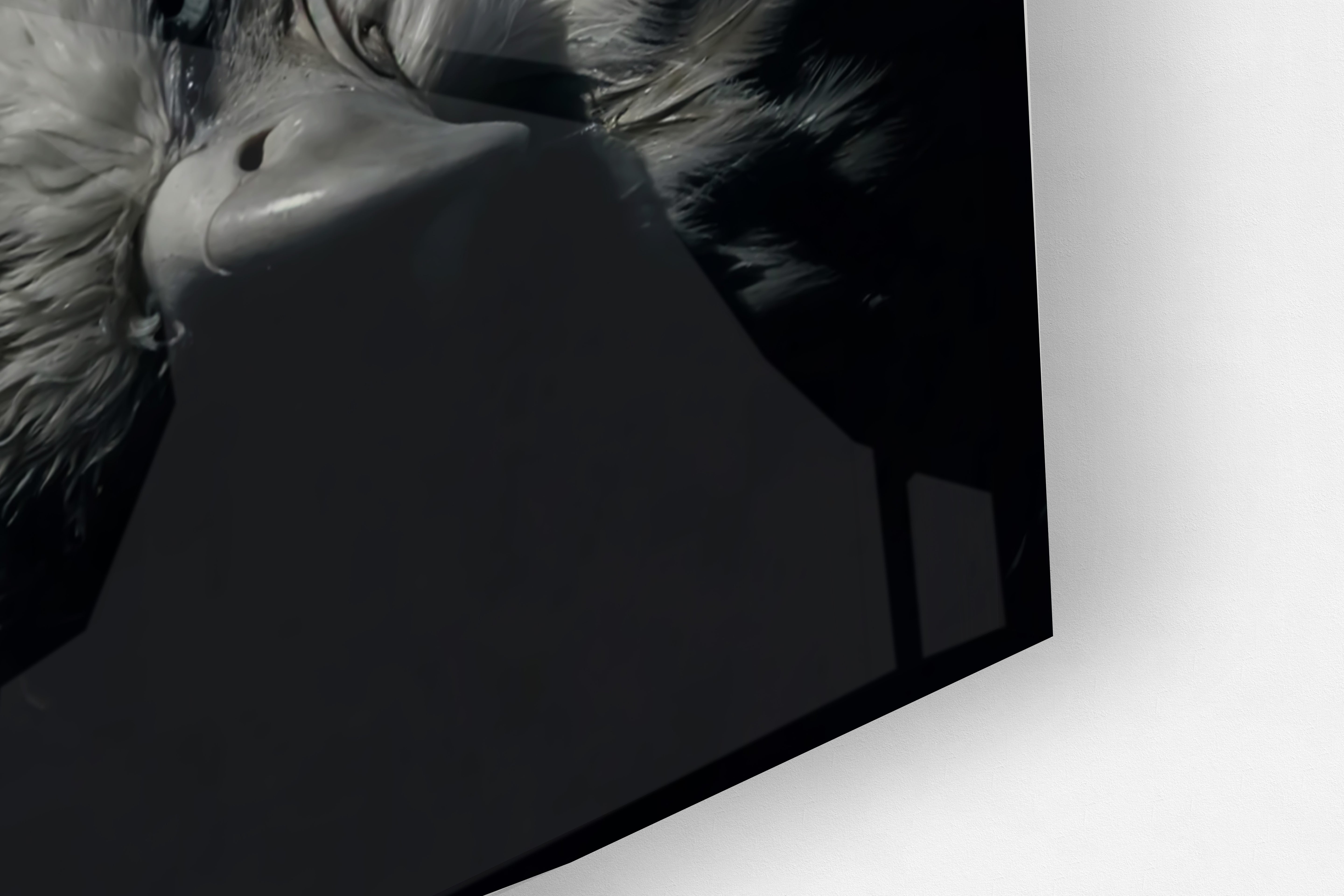 Its All Starts With A Dream - Canvas/Acrylic Glass 