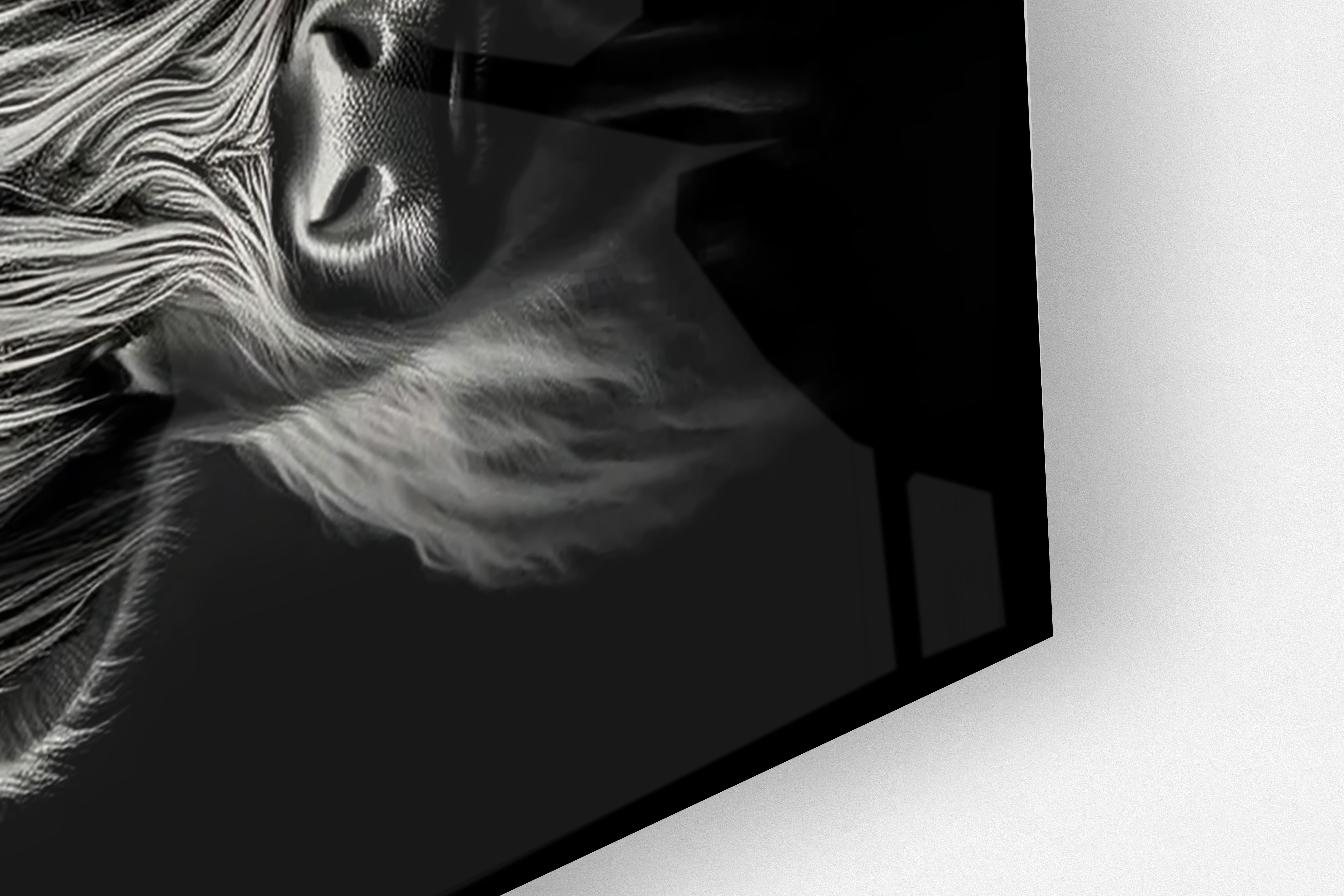 Its All Starts With A Dream - Canvas/Acrylic Glass 
