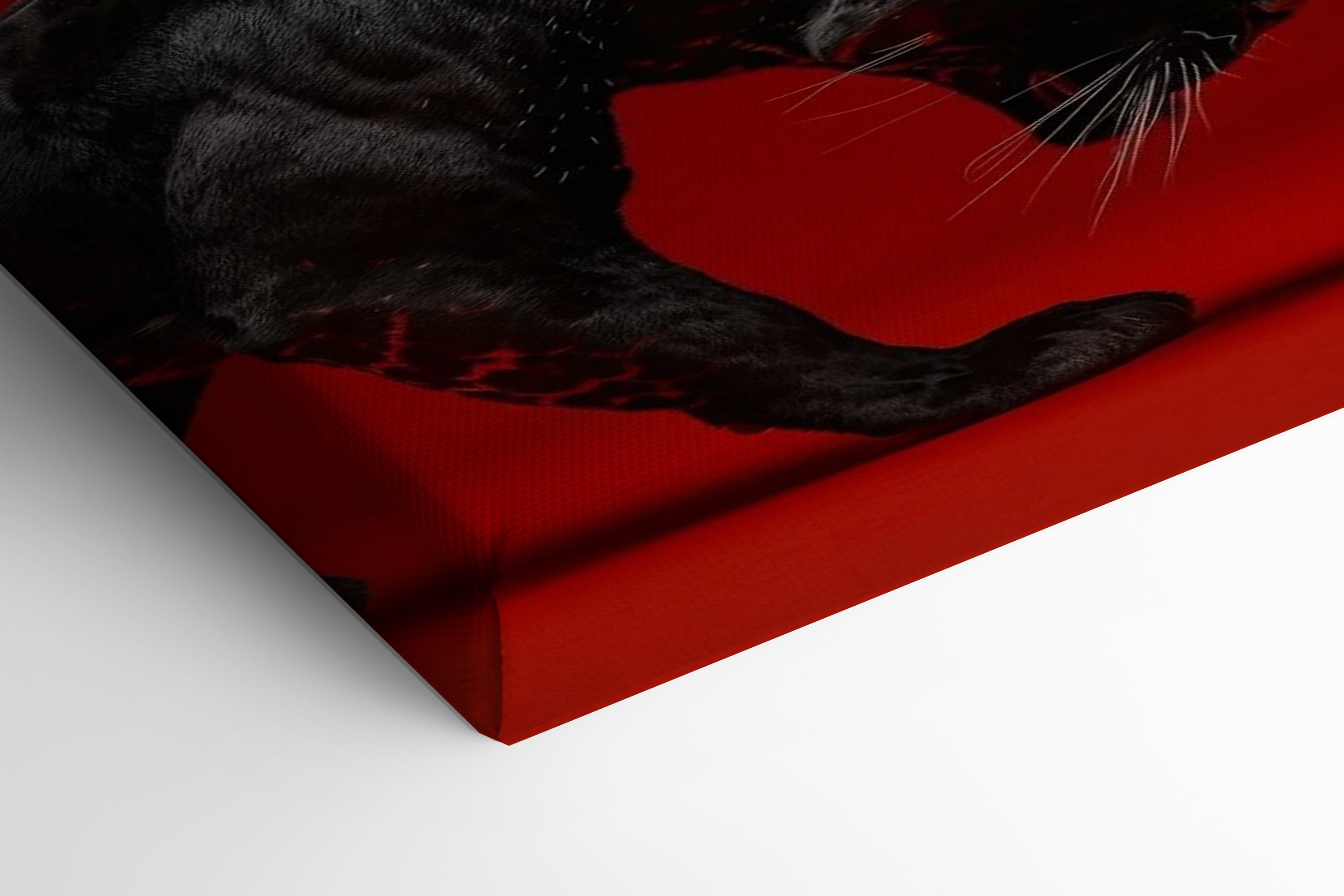 Red Silence