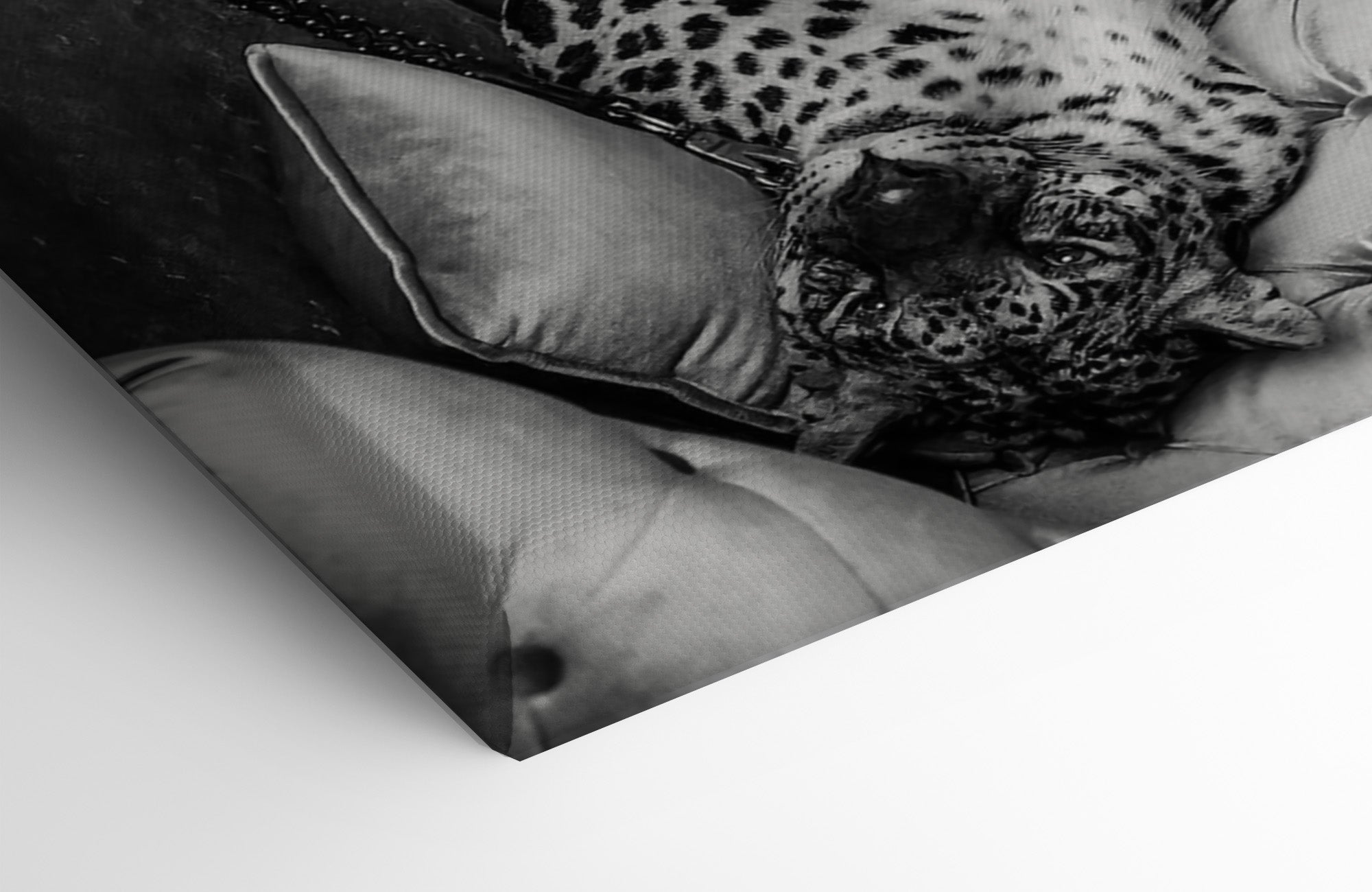 Luxury Tiger