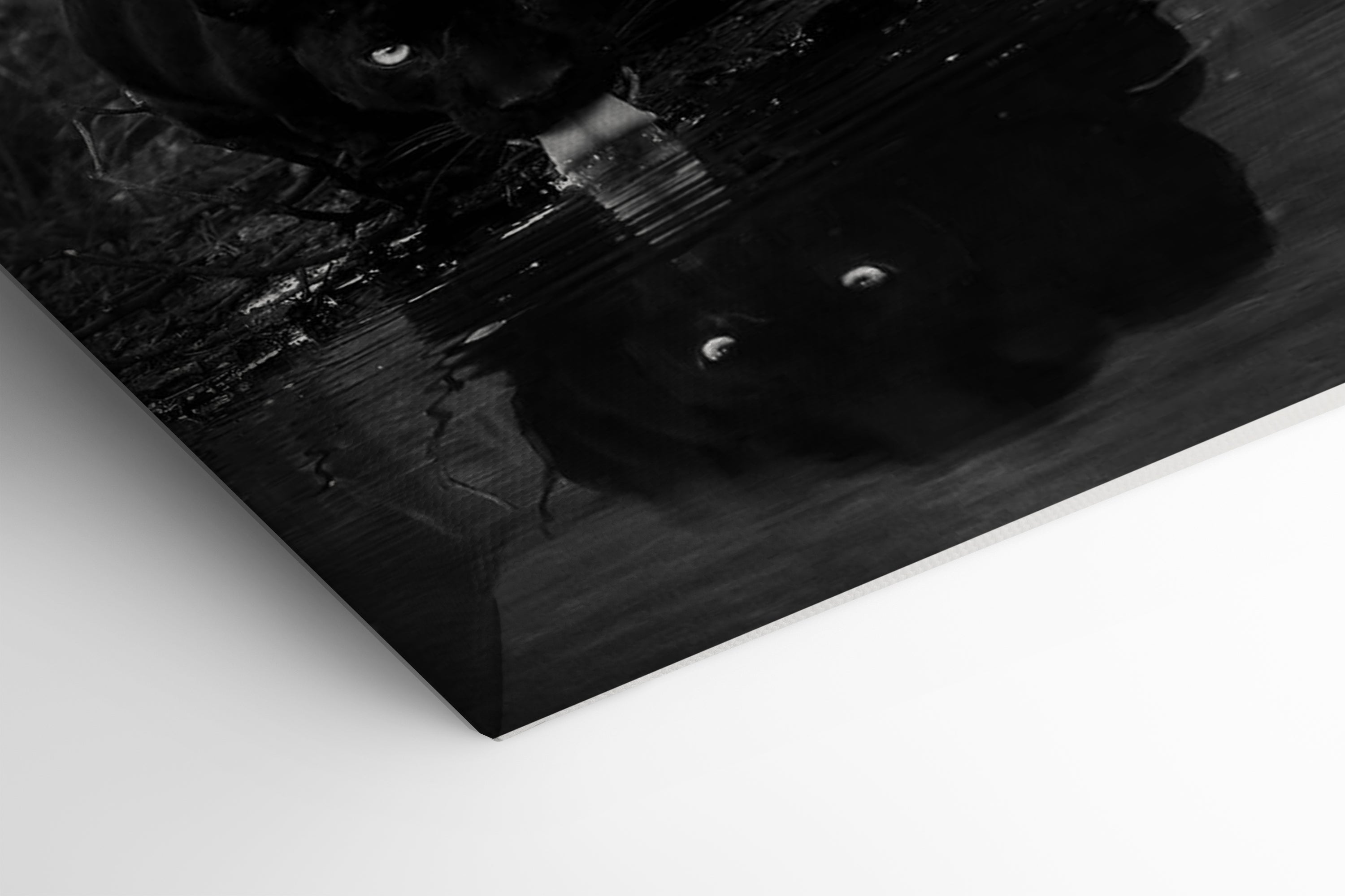 Its All Starts With A Dream - Canvas/Acrylic Glass 