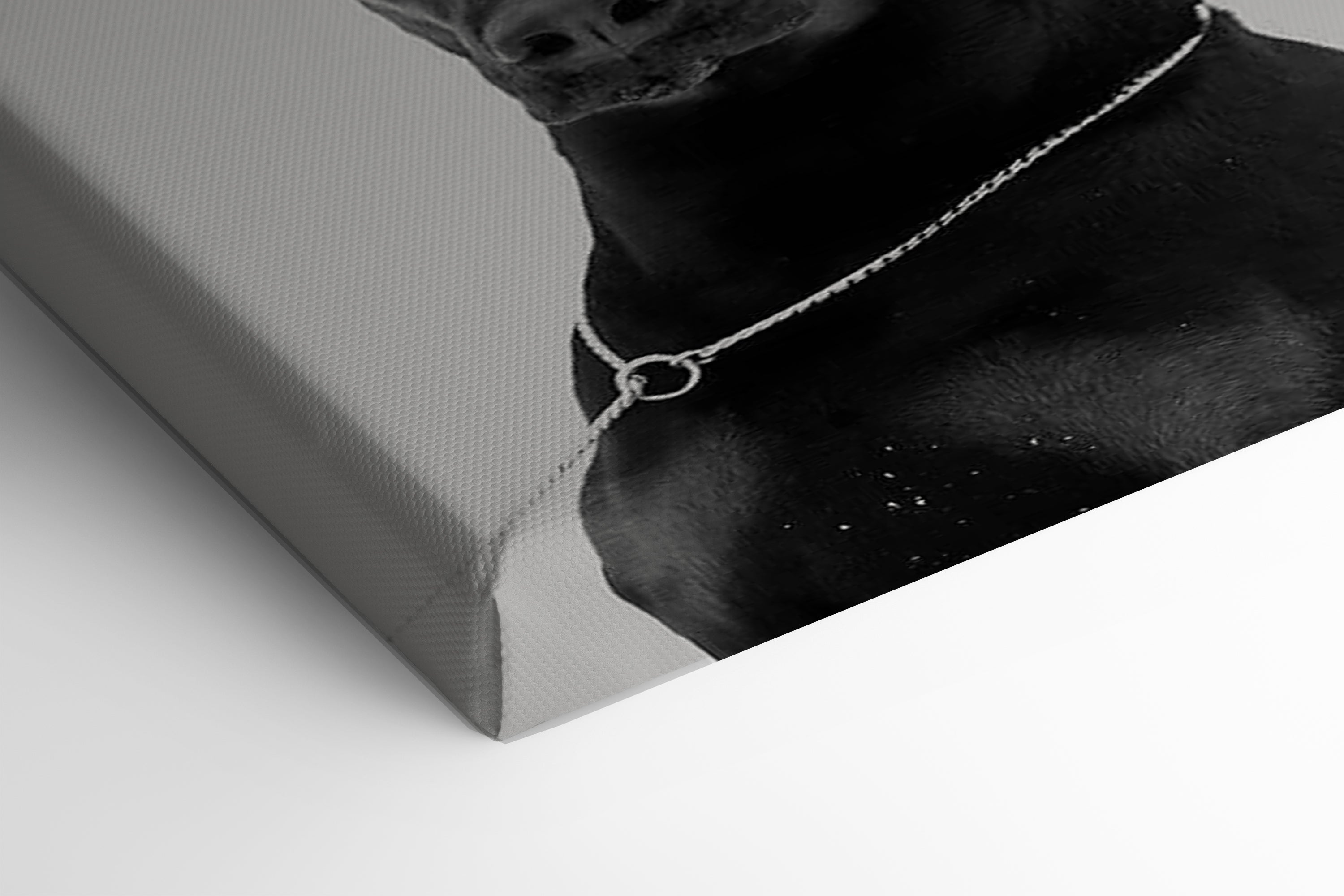 Gardien noir 