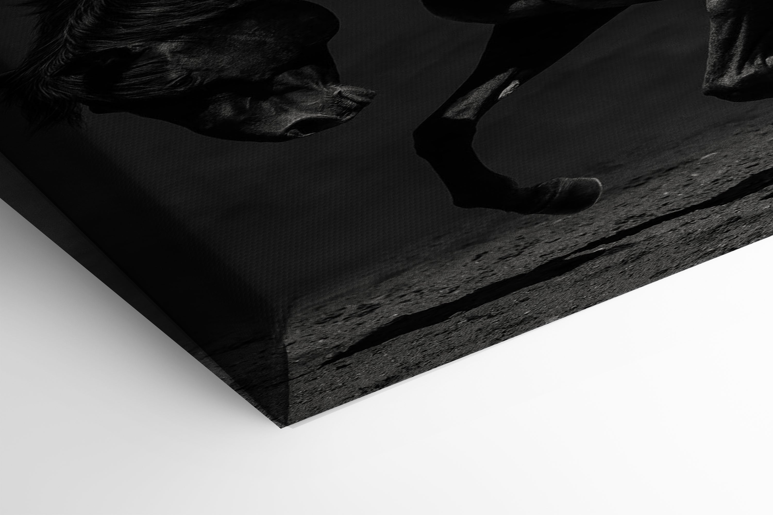 Its All Starts With A Dream - Canvas/Acrylic Glass 