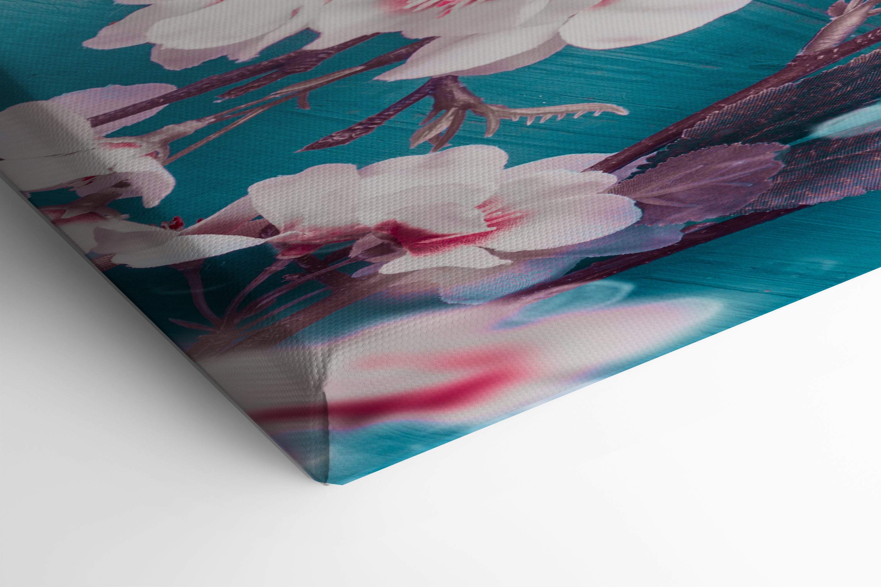 Sakura Dreams