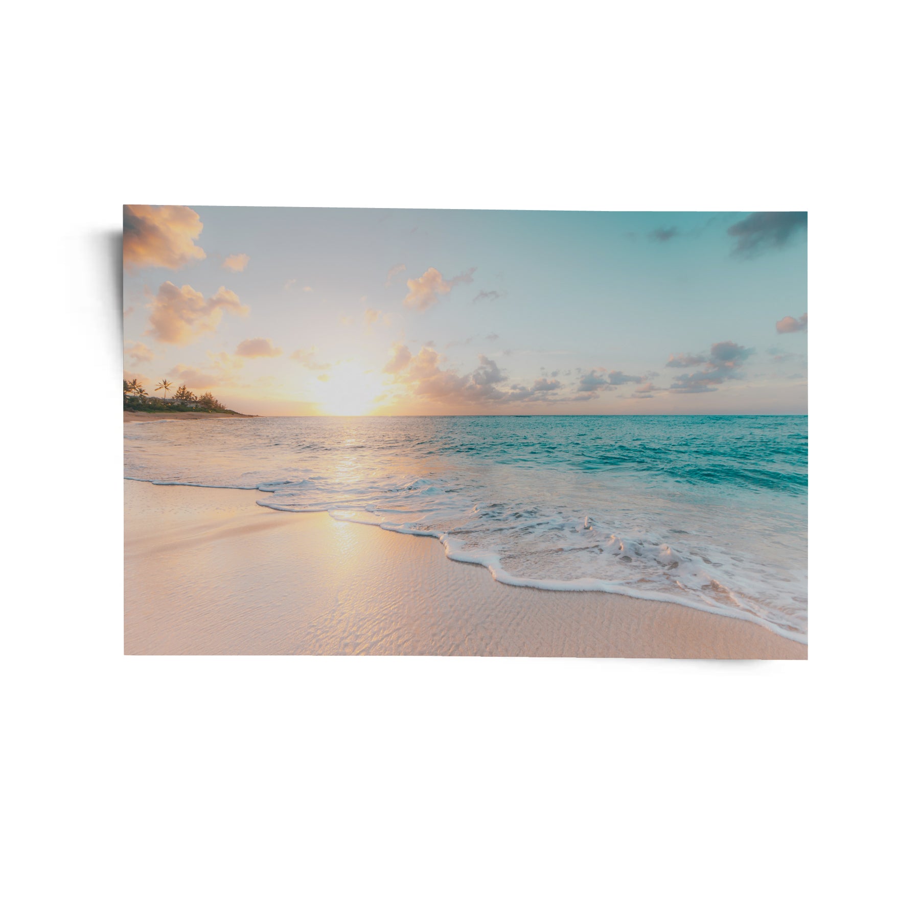 Tropical Tranquility