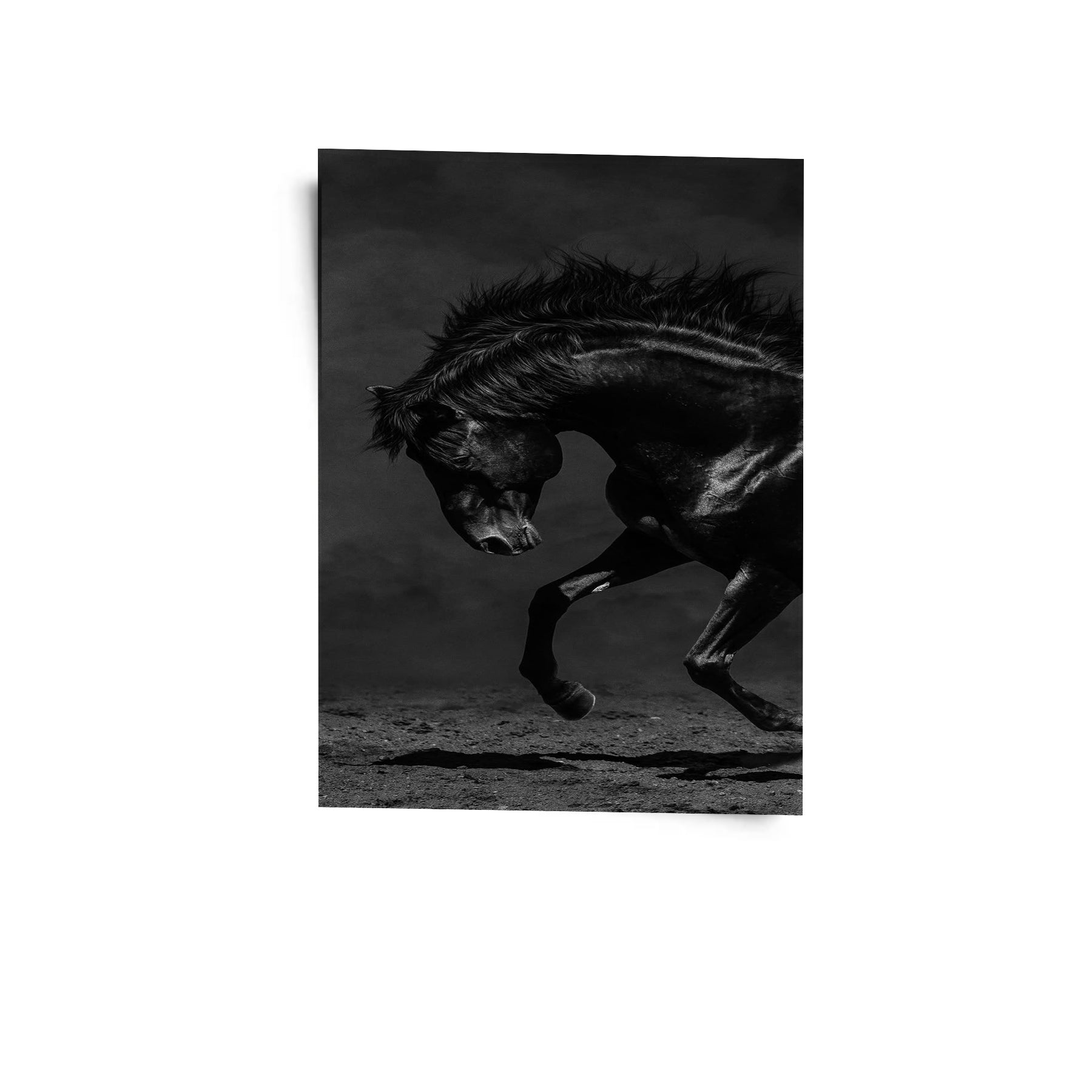 Its All Starts With A Dream - Canvas/Acrylic Glass 